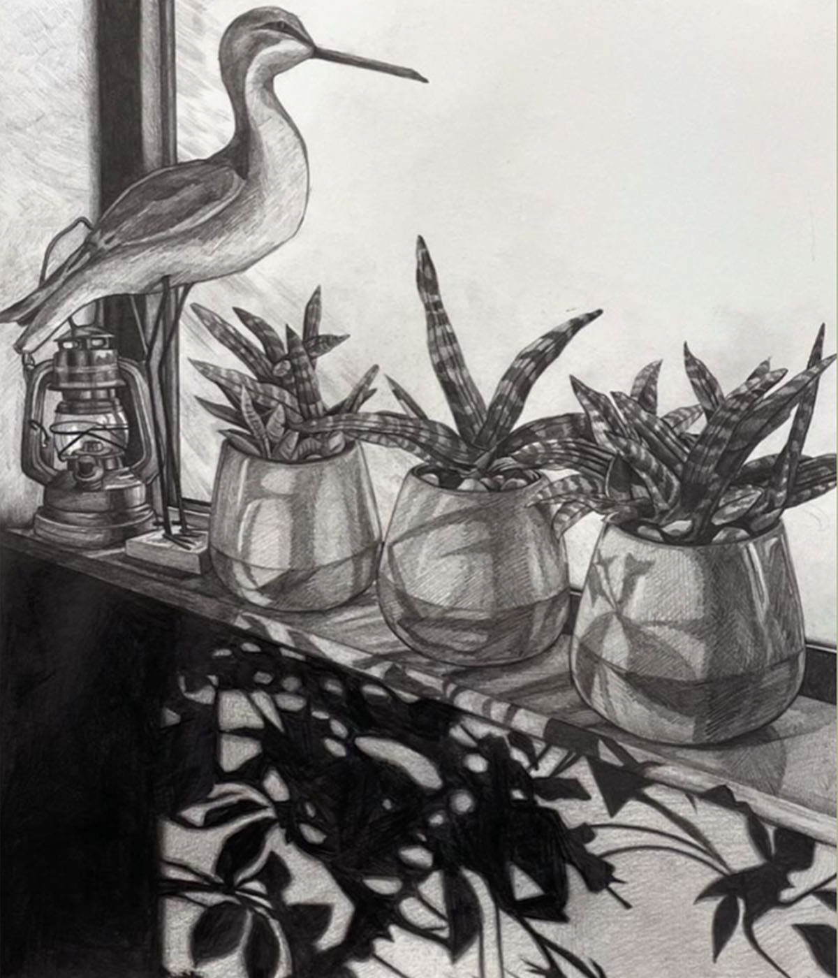 A drawing of three potted aloe plants on a windowsill with a long-legged bird ornament and small oil lamp. Shadows from an umbrella plant decorate the small area of wall below the windowsill. 