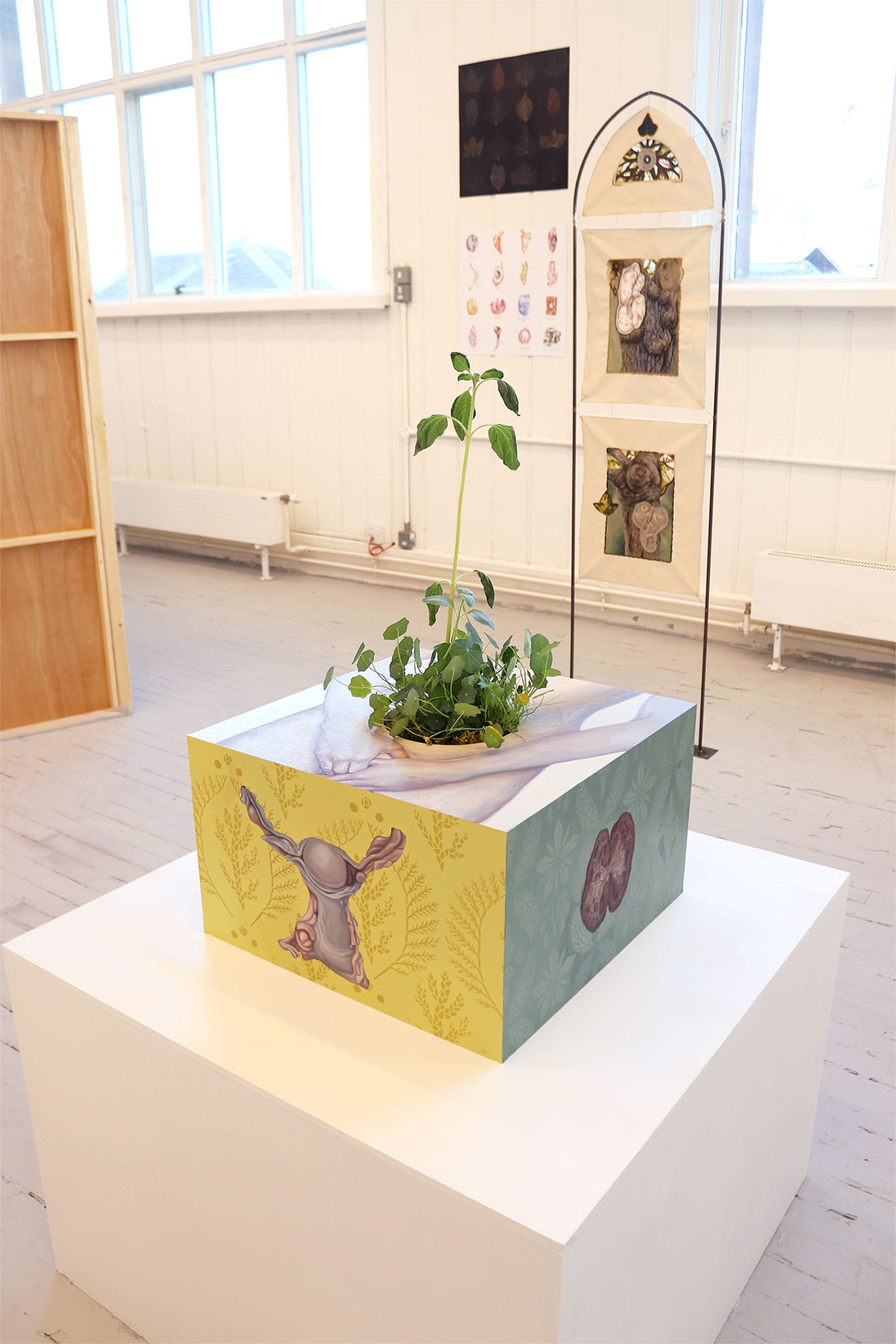 Anna's Degree Show installation with a box-like painting, a metal stand, and two prints on a wall.