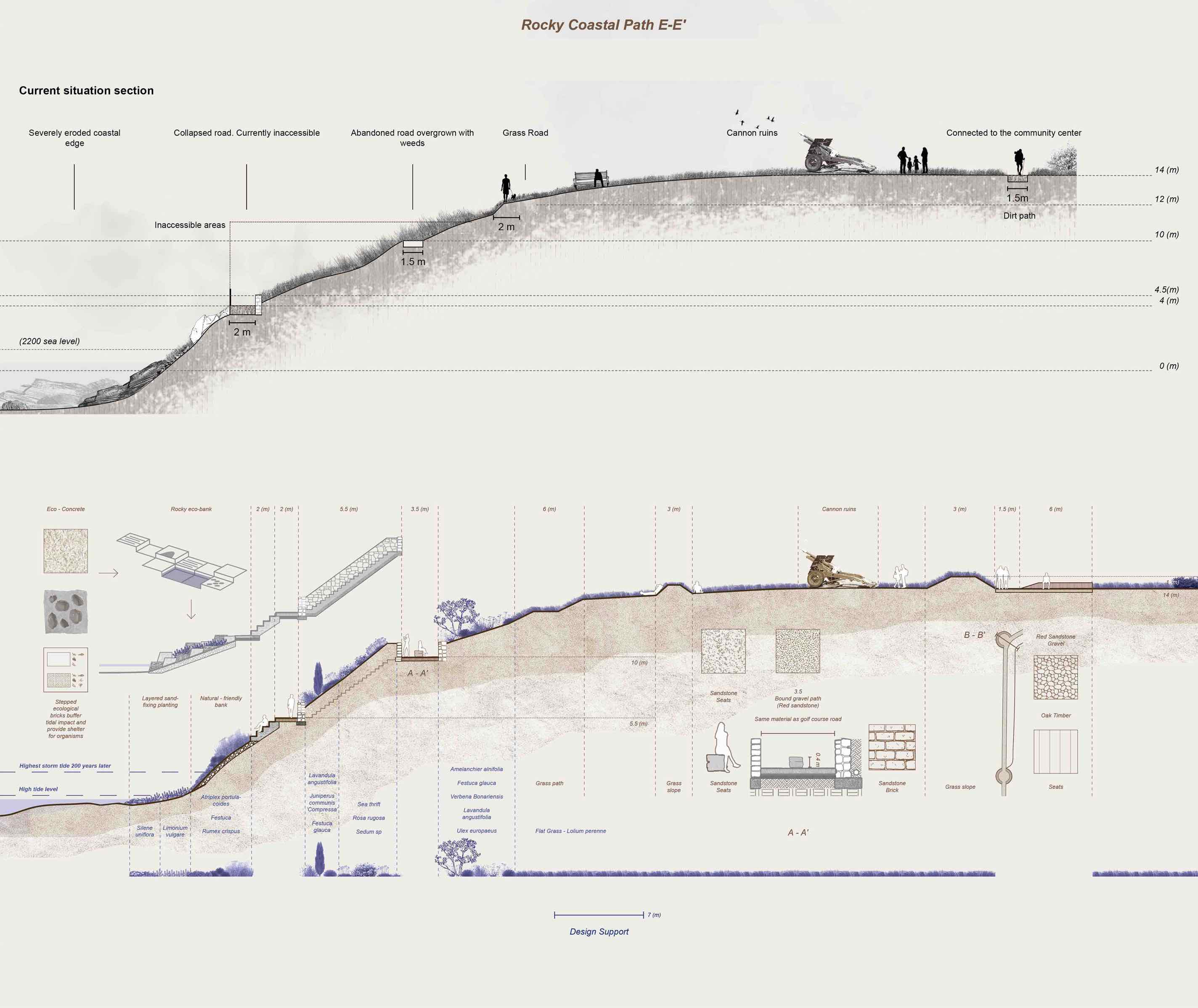 Detail Section - Rocky Coastal Path