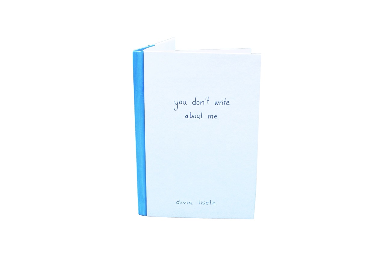 front cover of 'you don't write about me'
