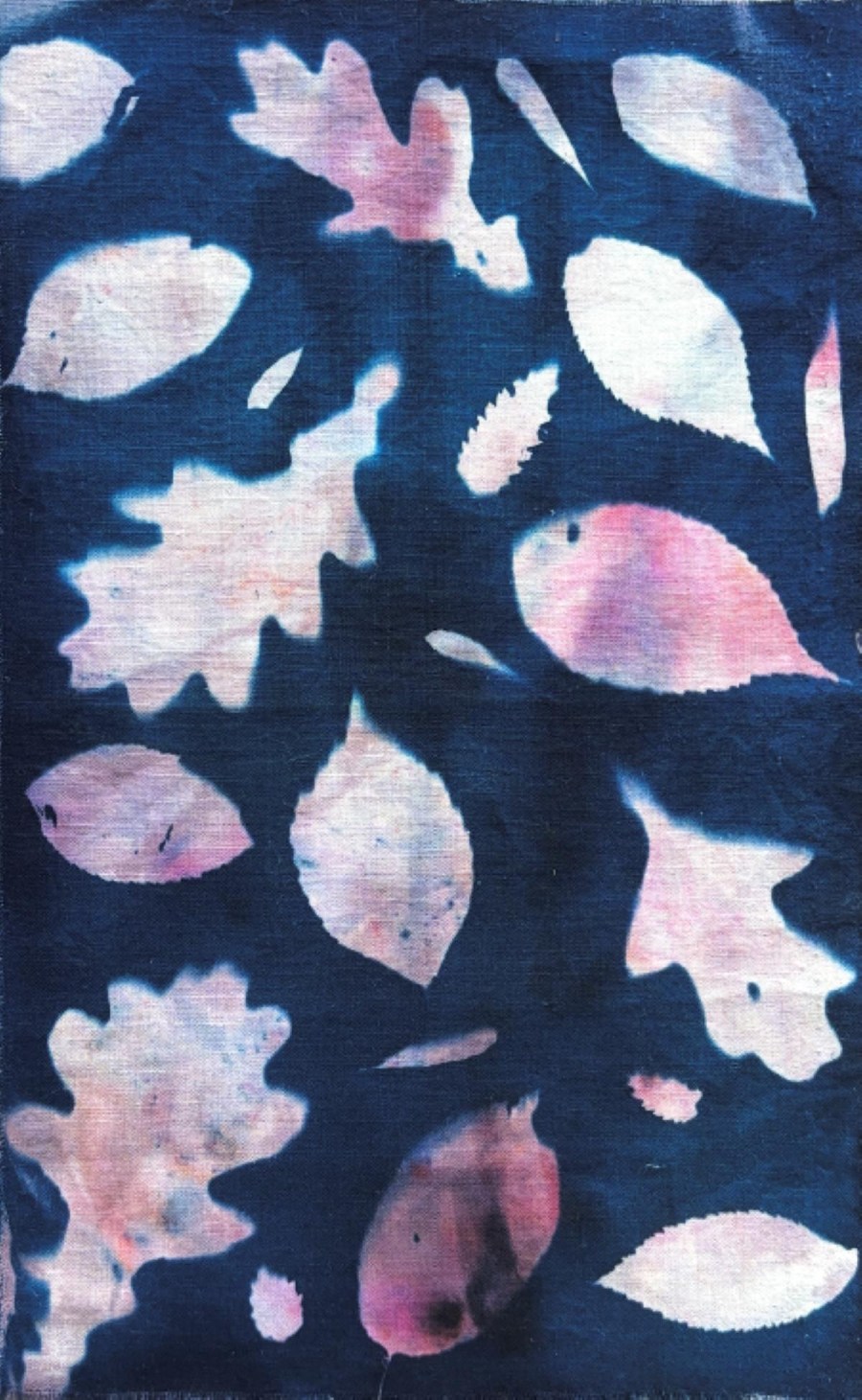 Fabric sample