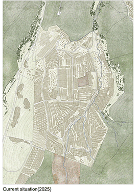 The Evolving State of the Master Plan after 50 Years.