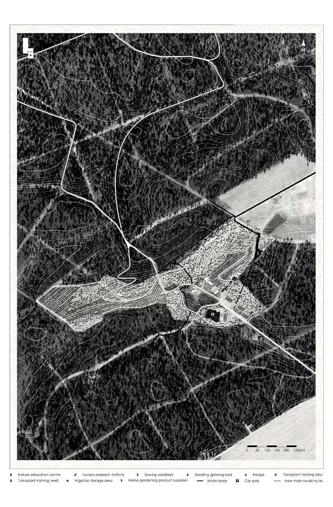 Interweaving Ecology and Phenomenology