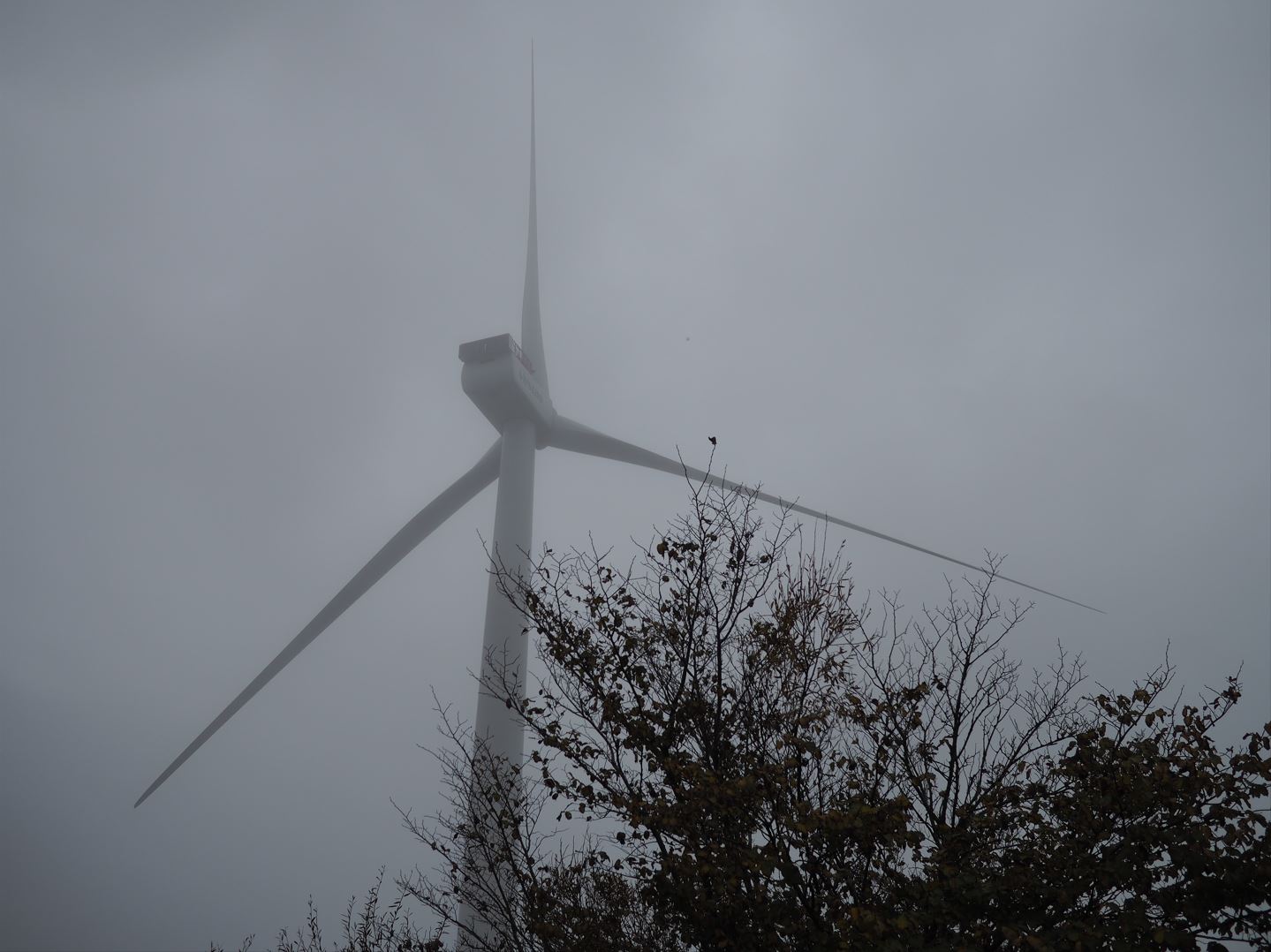 Image of Wind Turbine in fog, Esbjerg