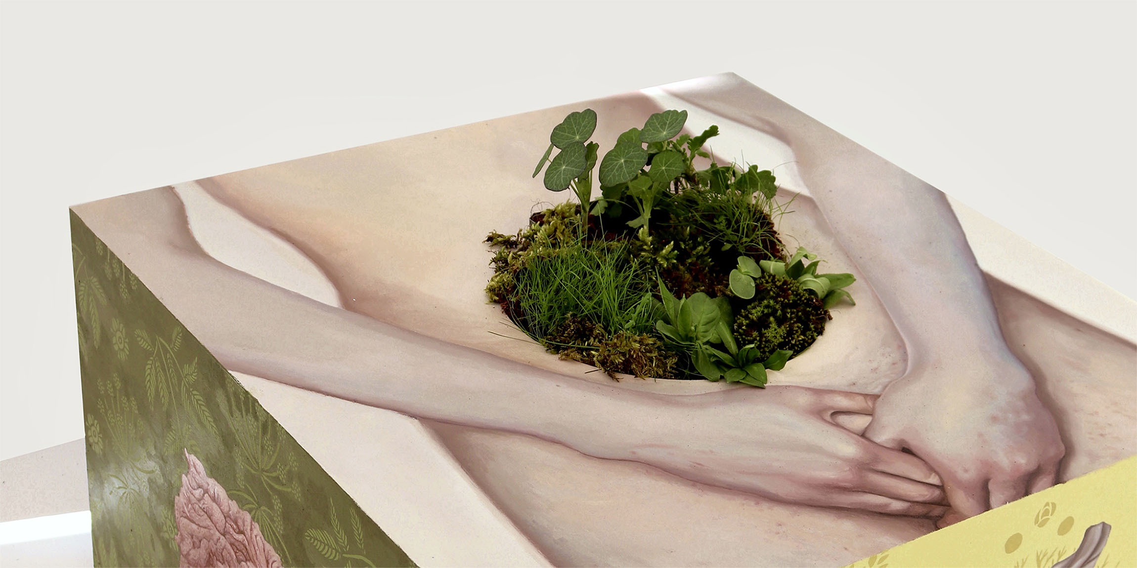 A wide close-up of a painted box-like artwork with living plants inside it.