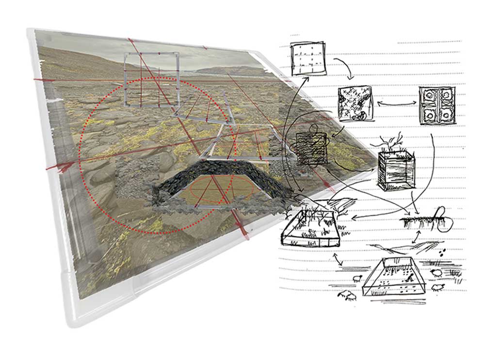 The quadrat method tansitioning from a fieldwork device to a design methodology, used as a garden in Skaftafell