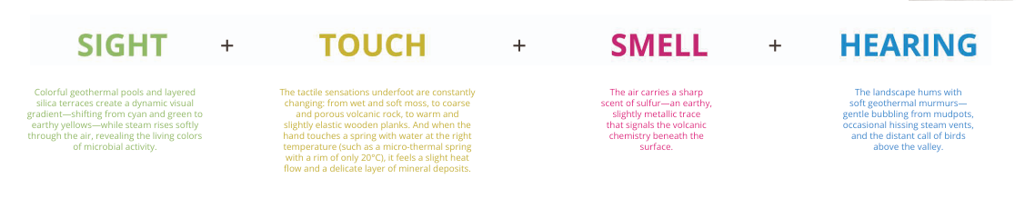 Four Sensory Experiences