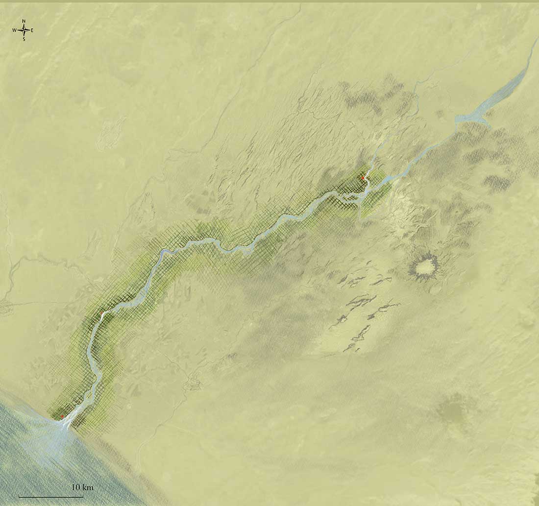 The final site speculation: a woven tapestry of riparian woodland