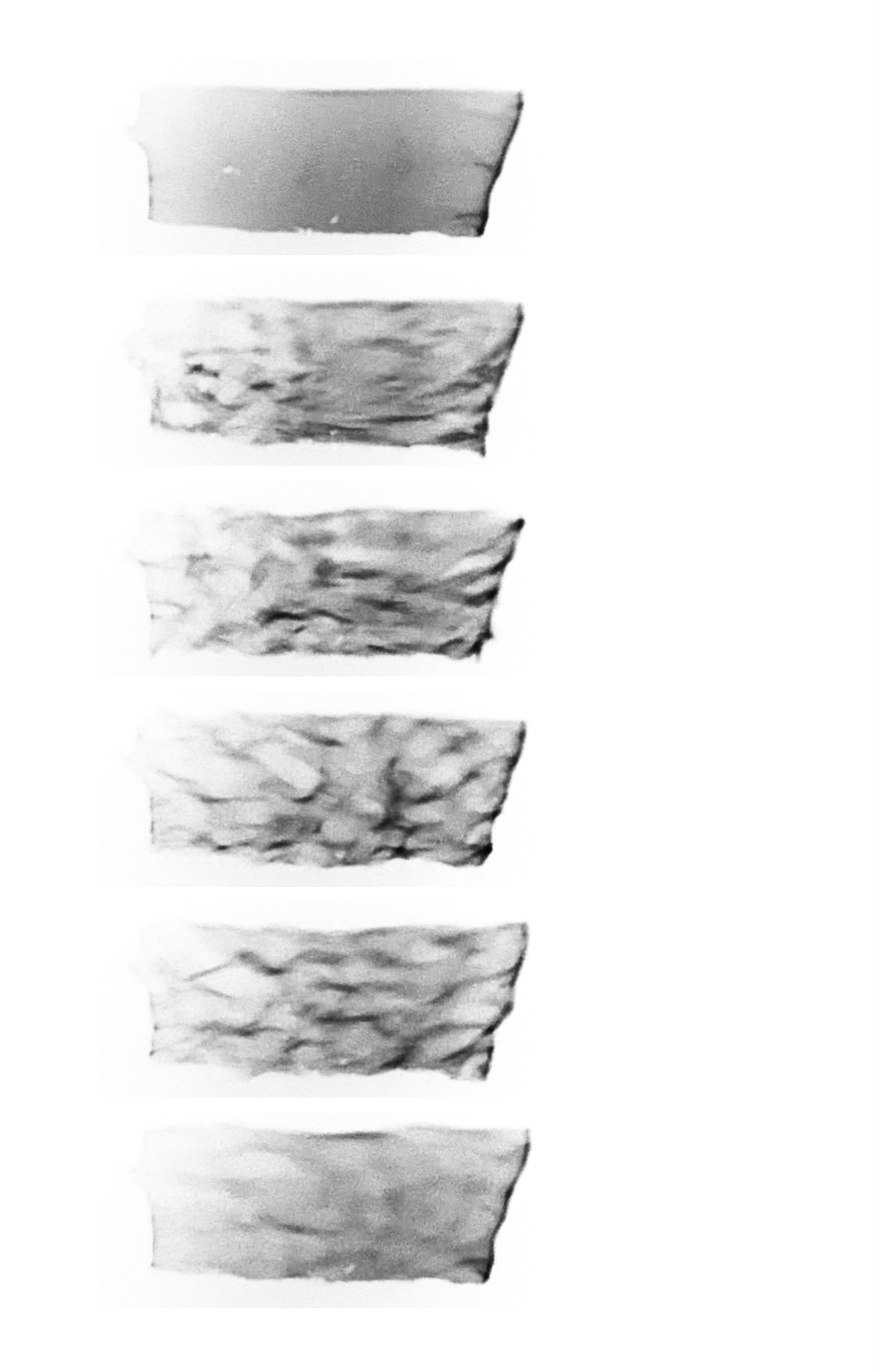 Reflective Stills