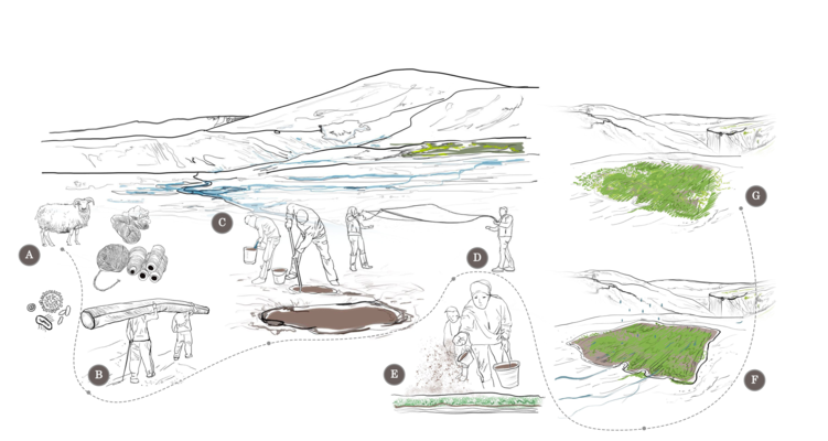 From Wool to Soil: Accelerated Succession