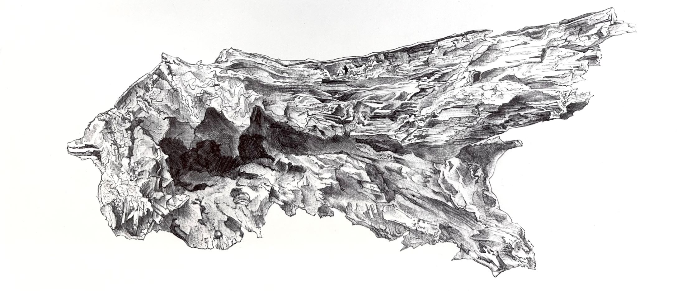 Ballpoint pen drawing of shattered log