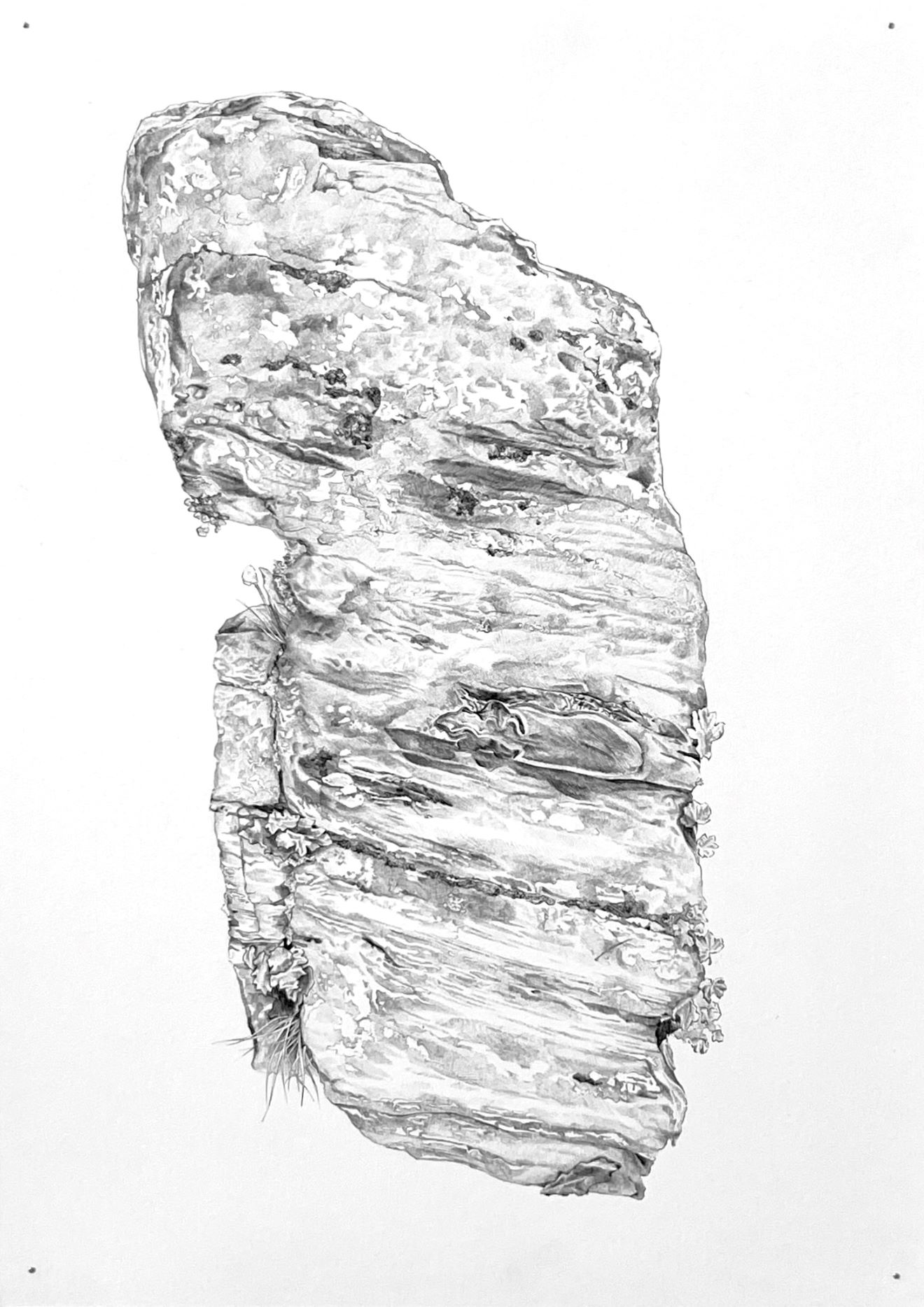 Ballpoint pen drawing of rock face.