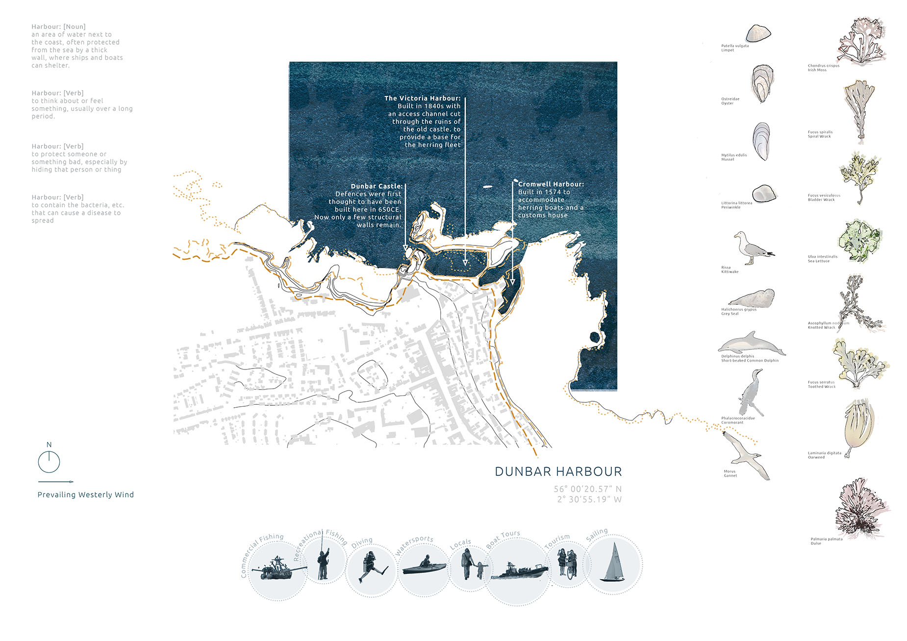A diagram depicting site research and Dunbar Harbour's dynamic systems