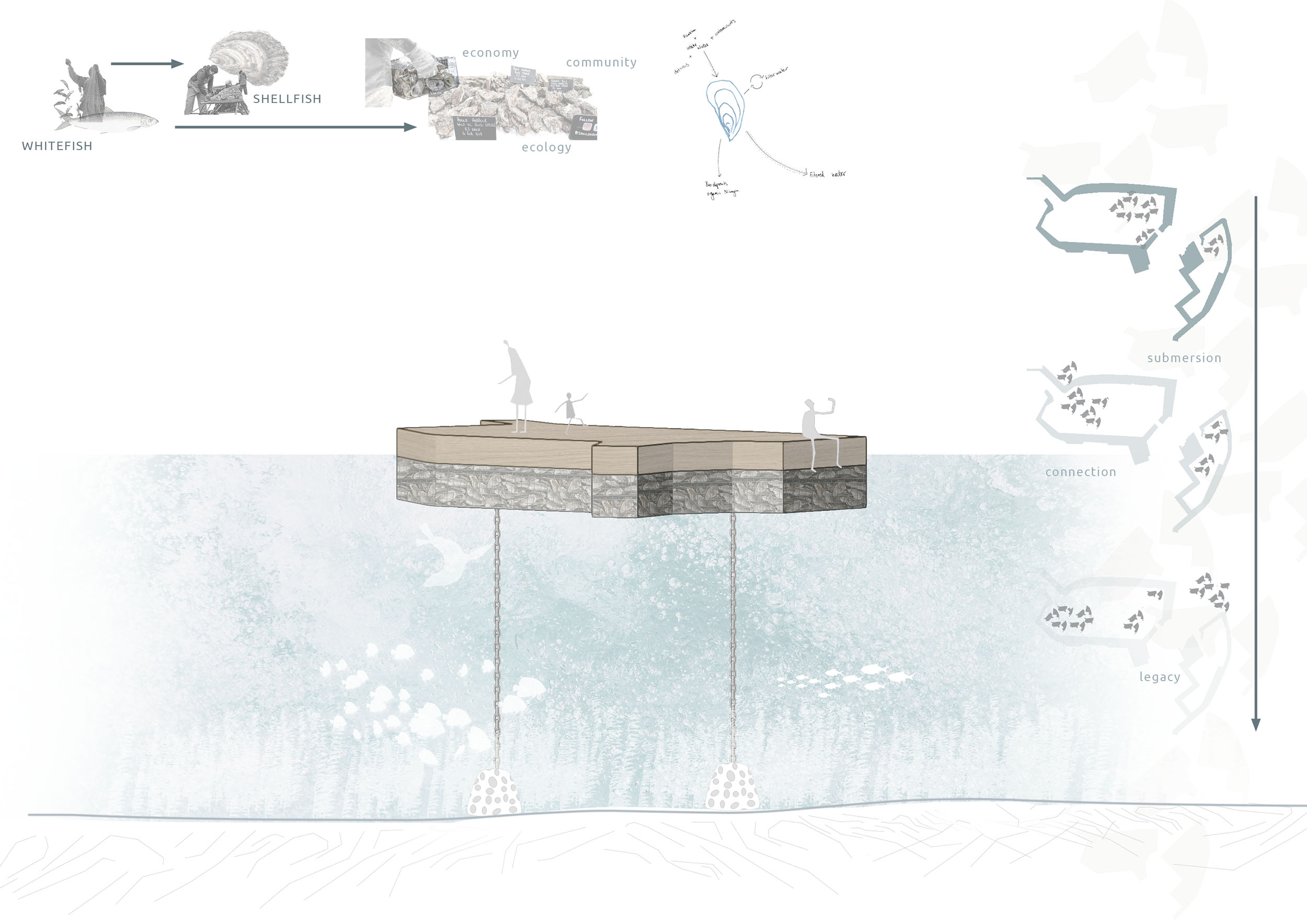 A visual depicting the oyster islands and their benefits