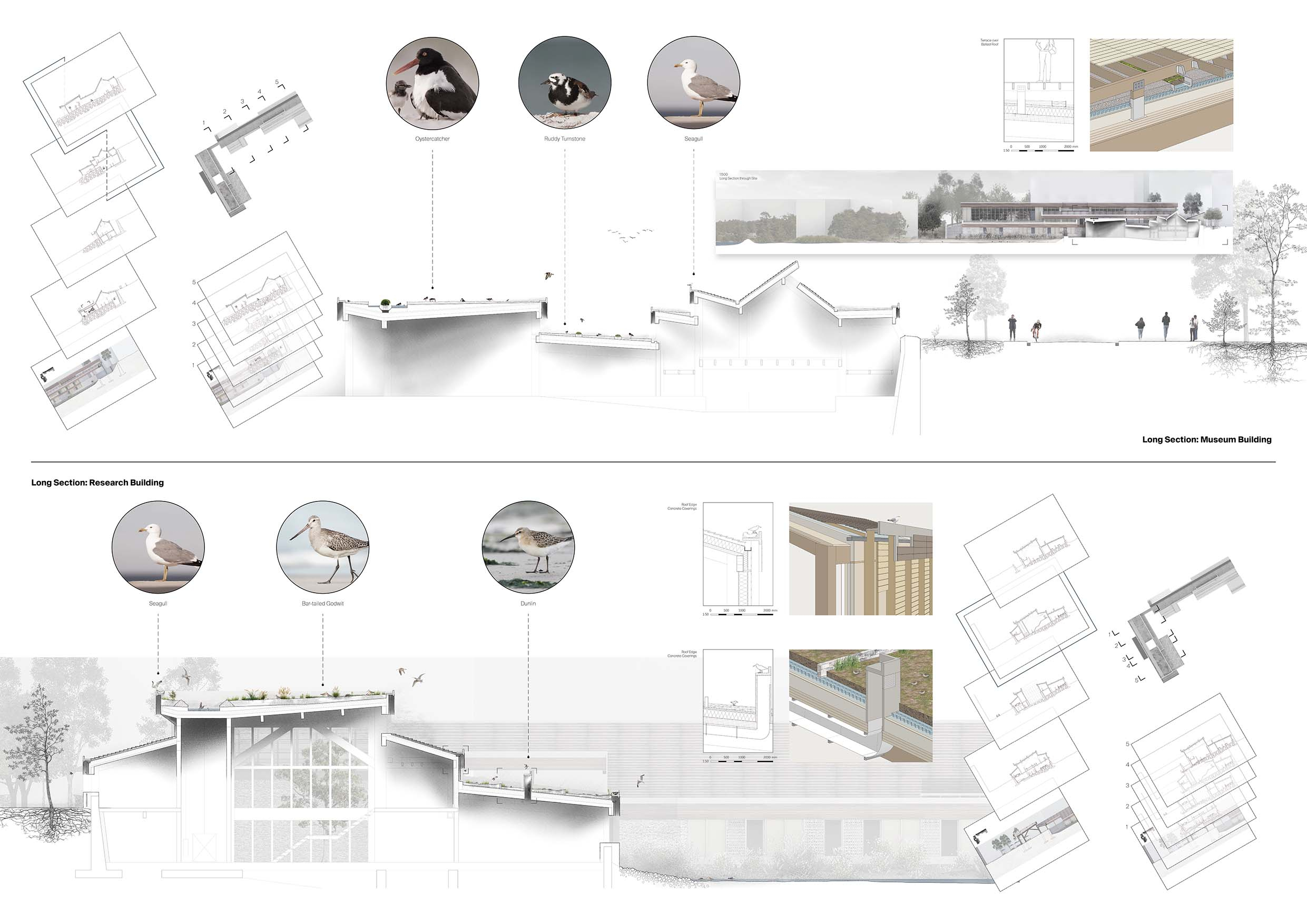 MovingWater_TheSecondLandscape_Board2
