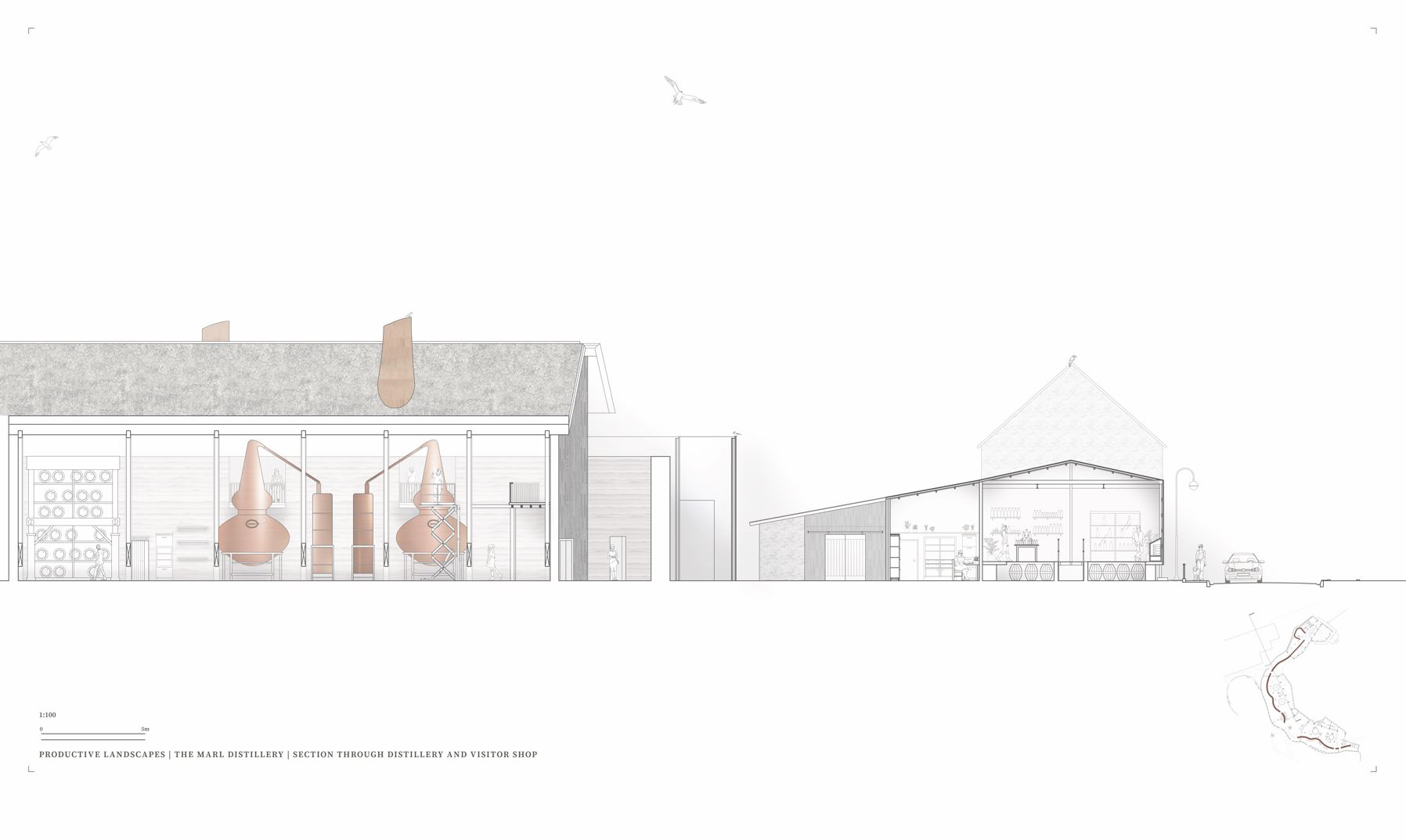Sectional drawing through distillery and visitor shop and office