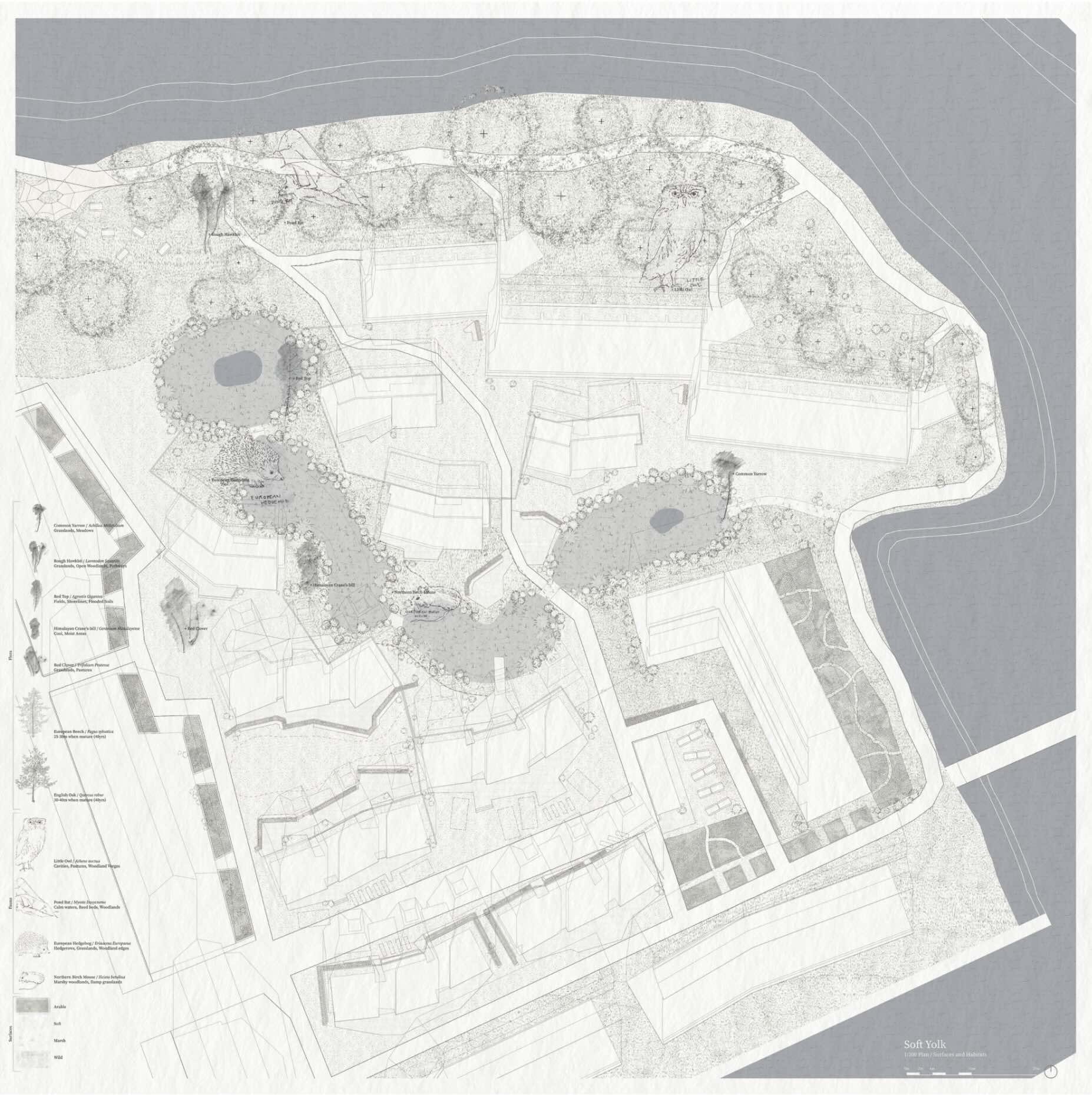 1:200 landscape plan