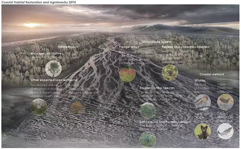 Coastal Habitat Restoration and Agroforestry 2074
