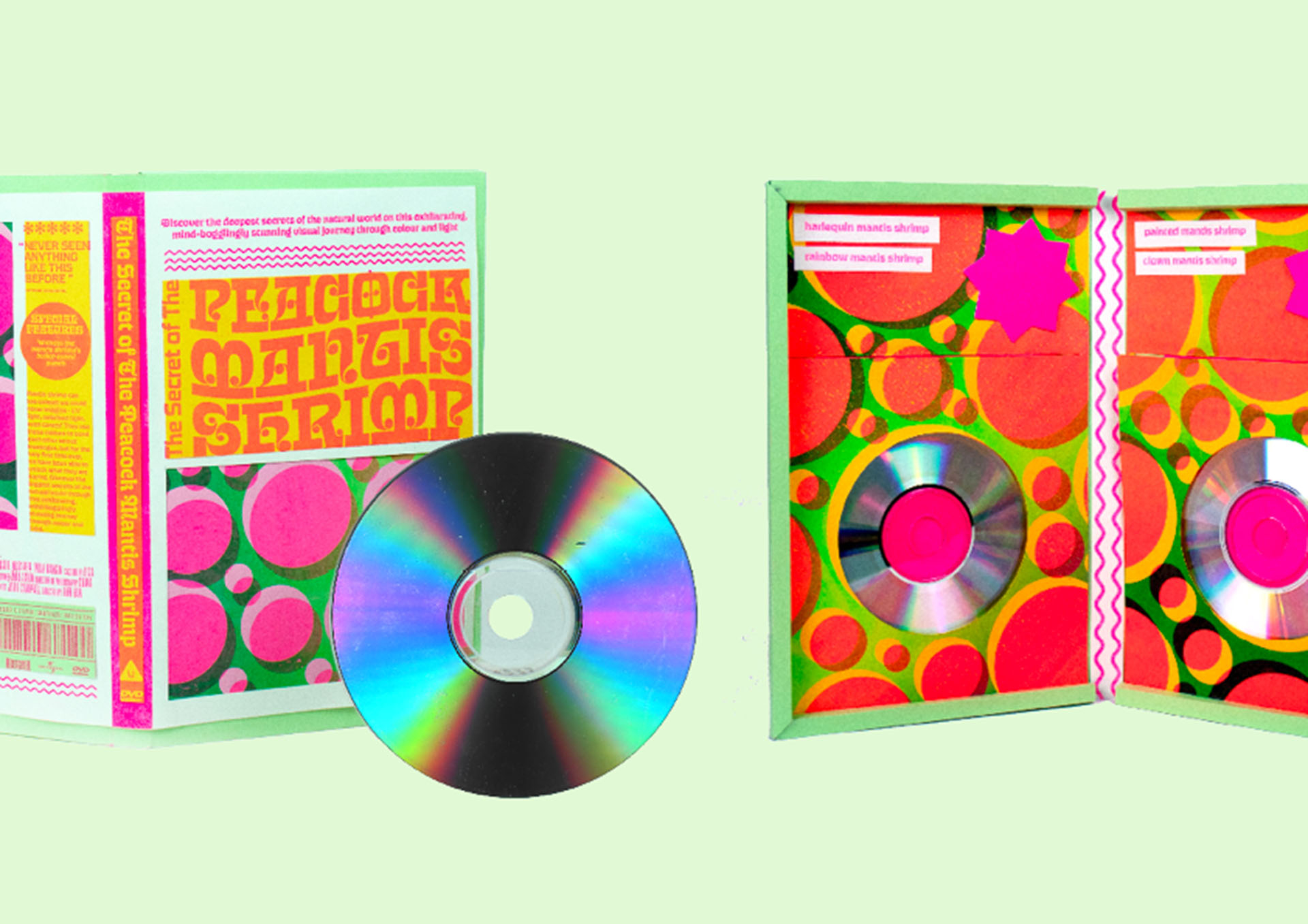 DVD case standing up