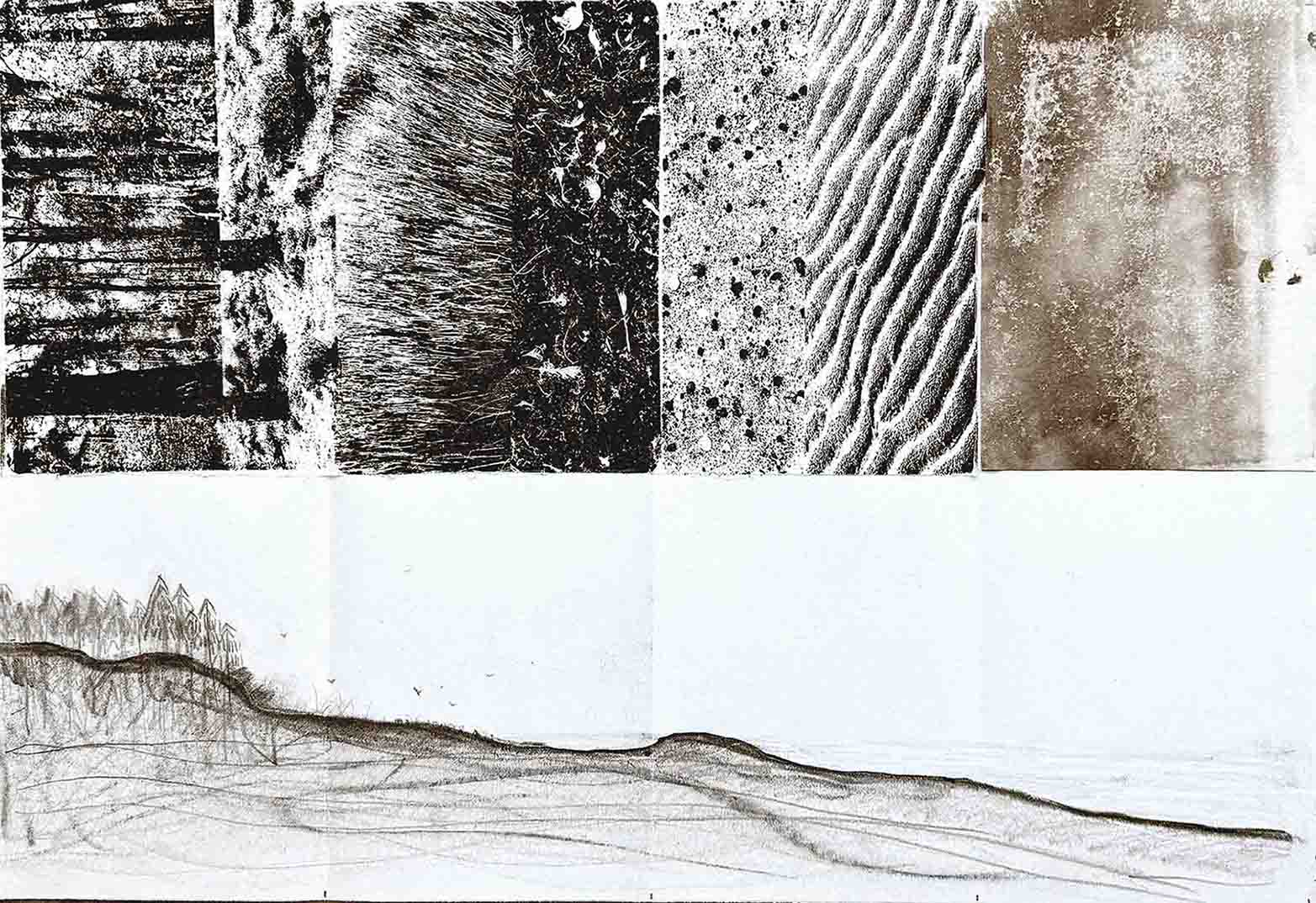 3 The wind — Nairn  Wind and waves stimulate the sea to expand. The tree were planted to reinforced the eroding coast.