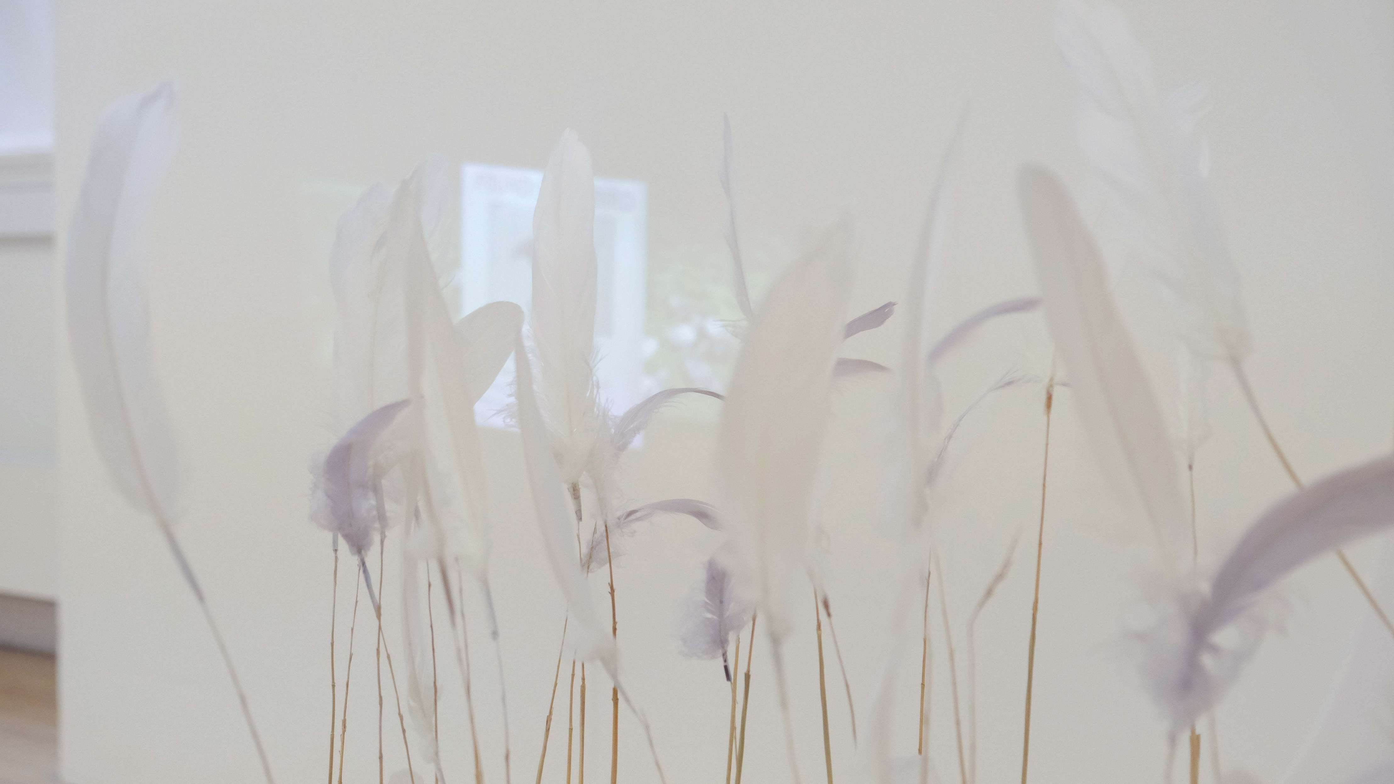 Macey Zhao, Detail of Gone with the wind… 