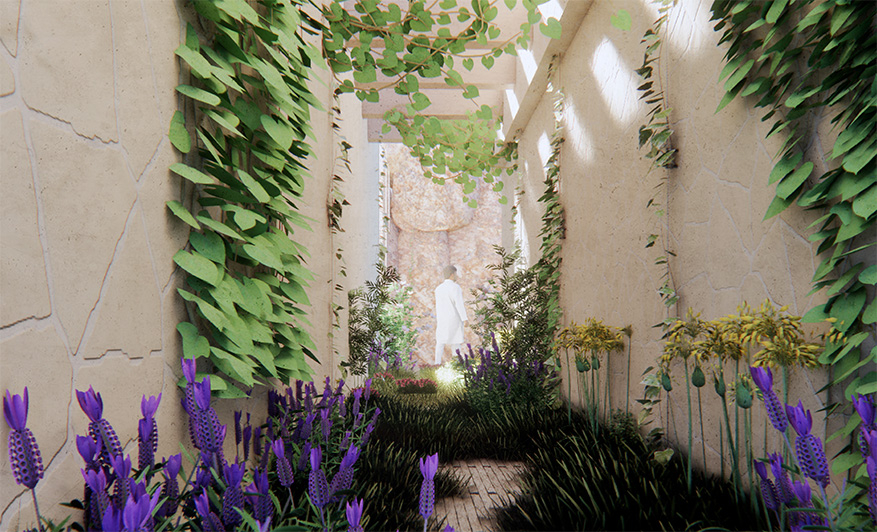 Hammam [walkway to the garden in 50 year].
