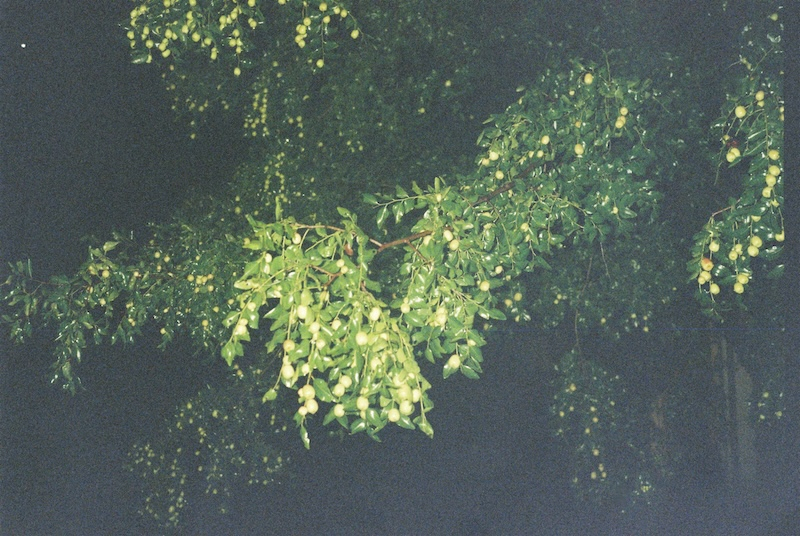 Archival Inkjet printed on Art paper, 29.7x21cm