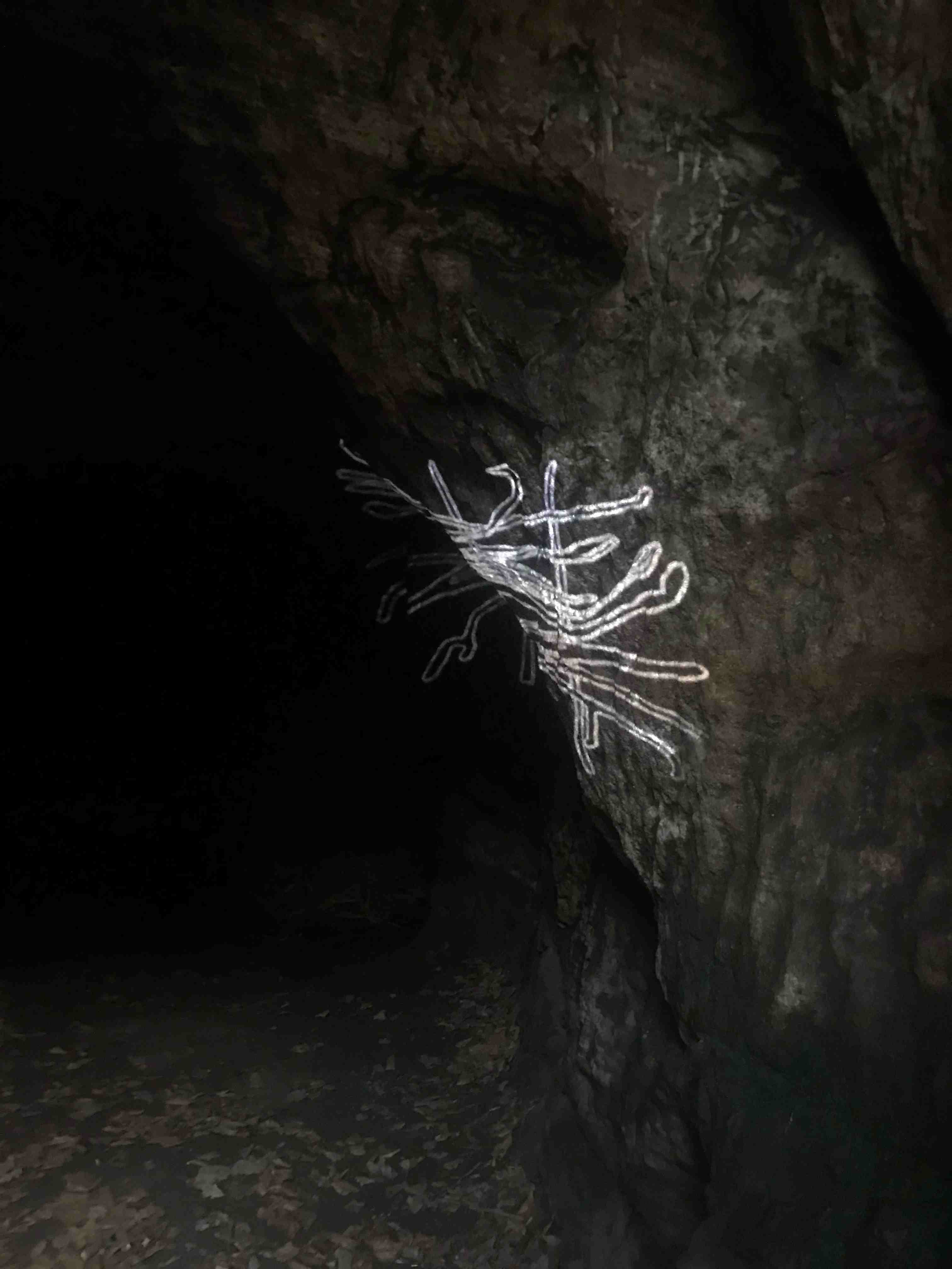 Petroglyph, photograph, projections on rock, 2025