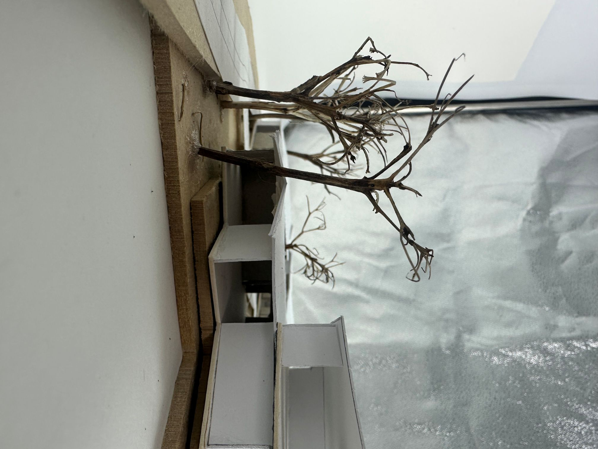 Final Model 