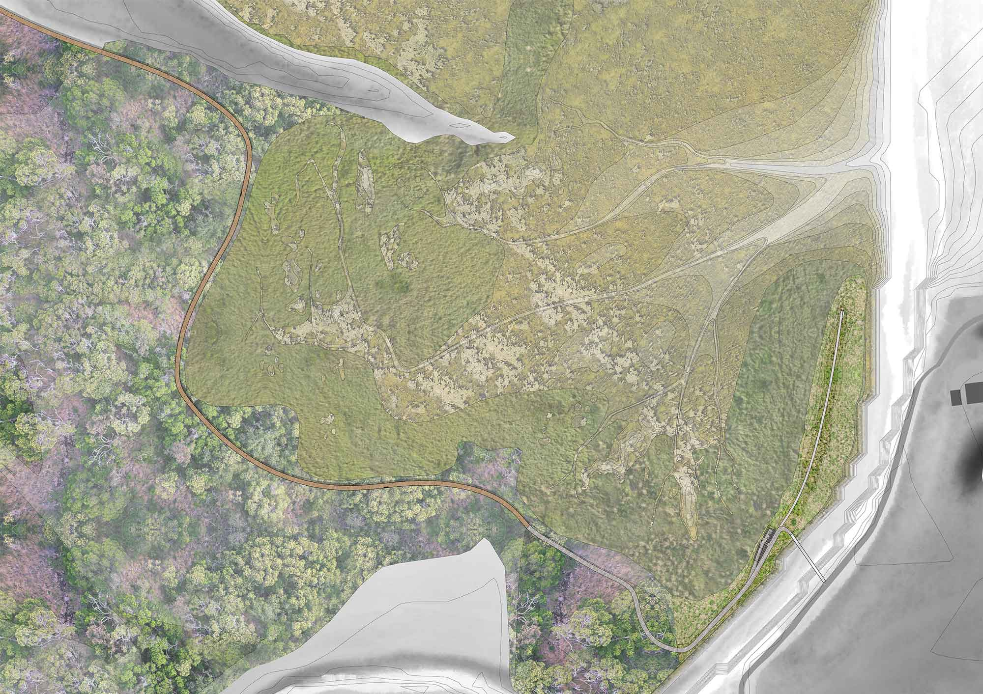 Site Plan: Farmers Fen, 2050 Established Saltmarsh 
