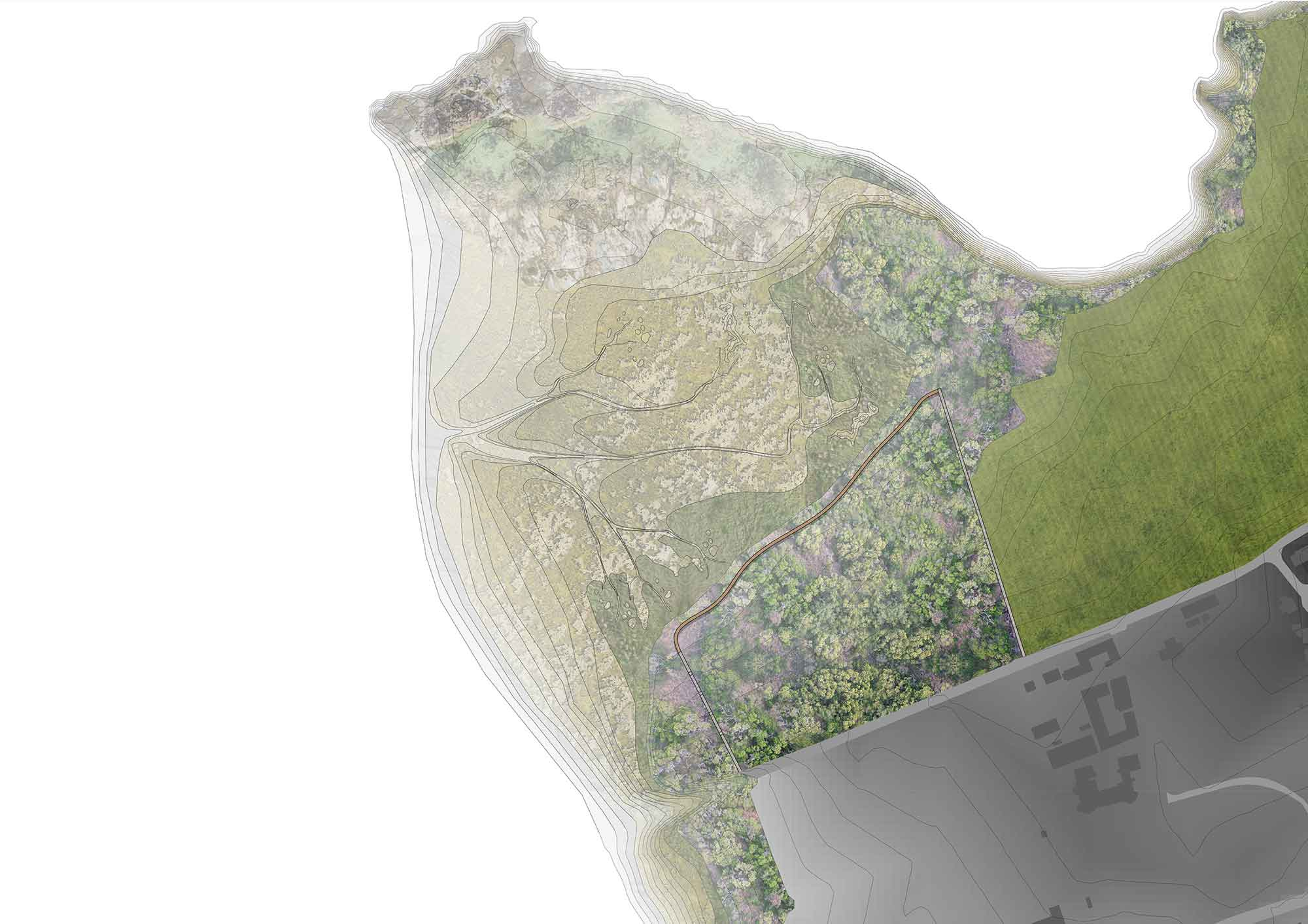 Site Plan: Swinging Swampland, 2125 Established Saltmarsh 