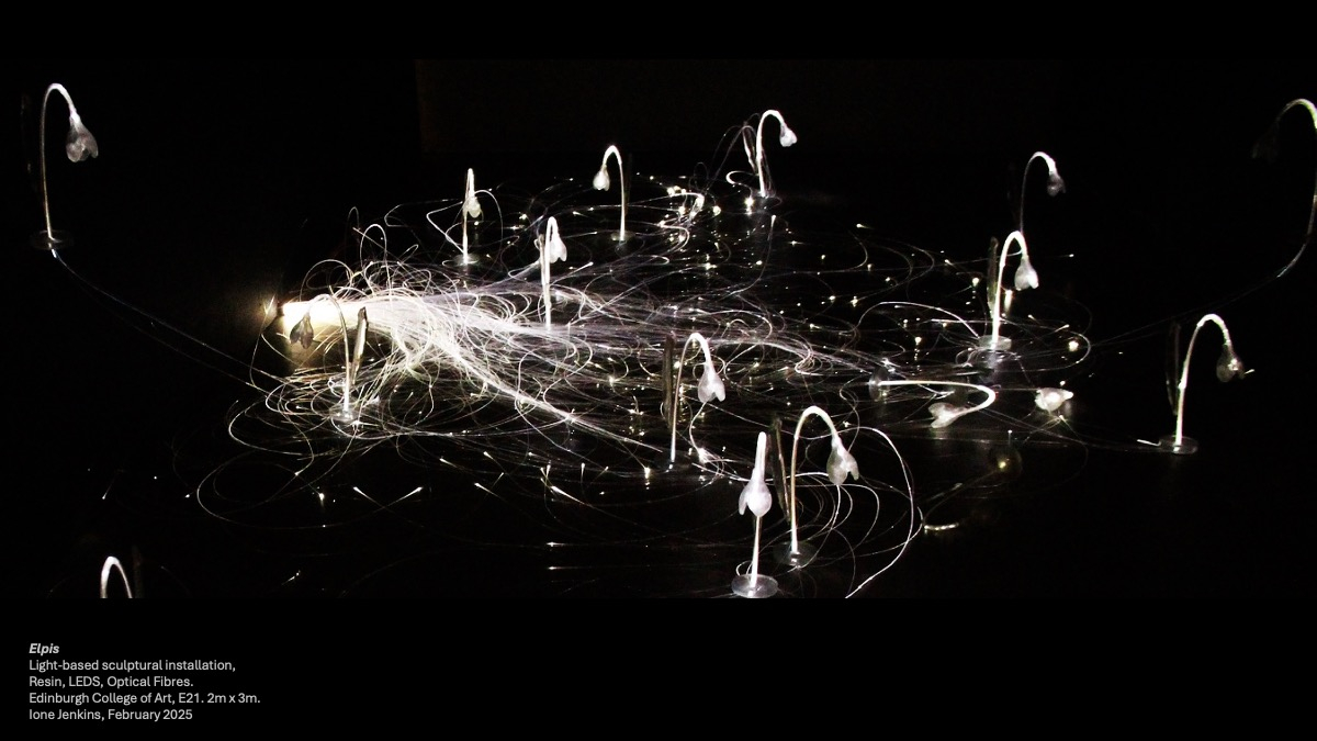 Illuminated sculptures of snowdrops in the darkness connected by a network of roots