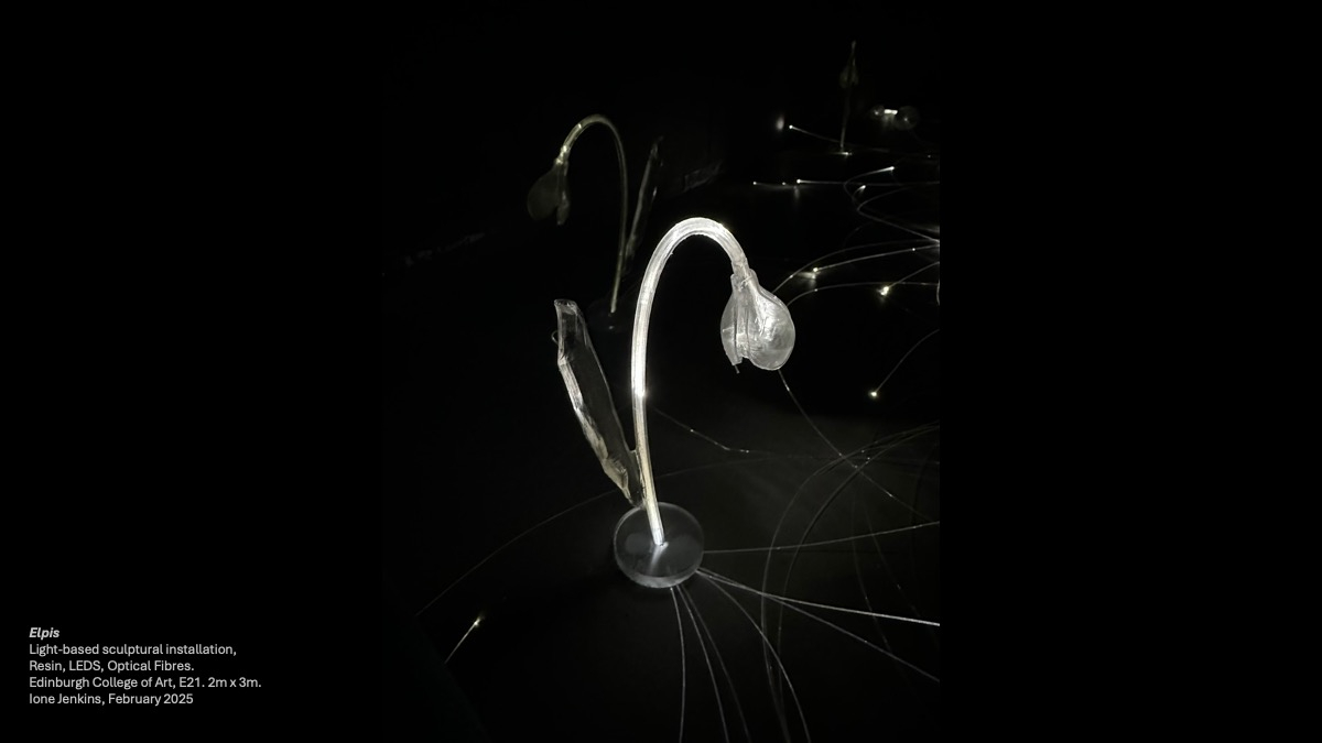 Illuminated sculpture of a snowdrop in the dark