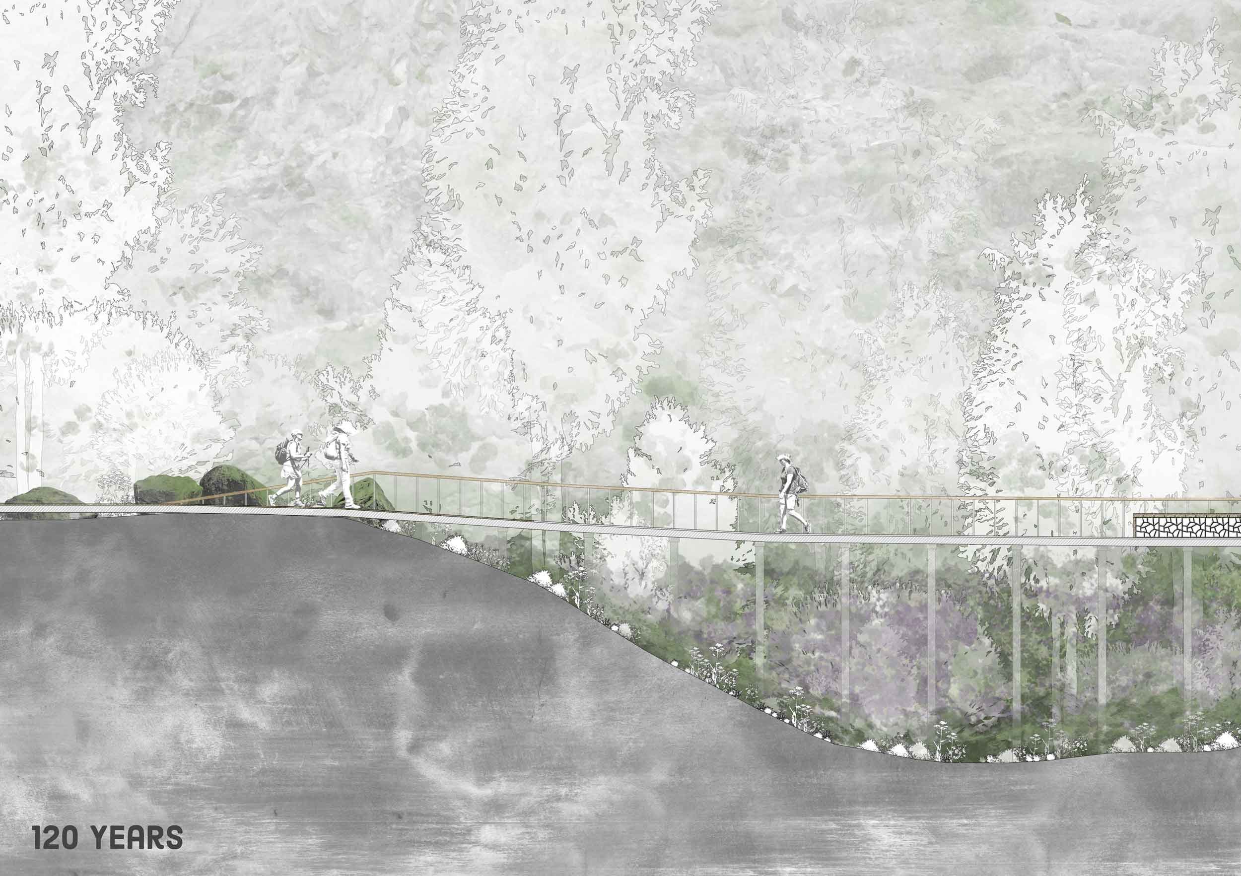 120 years Kettlehole Boardwalk Section