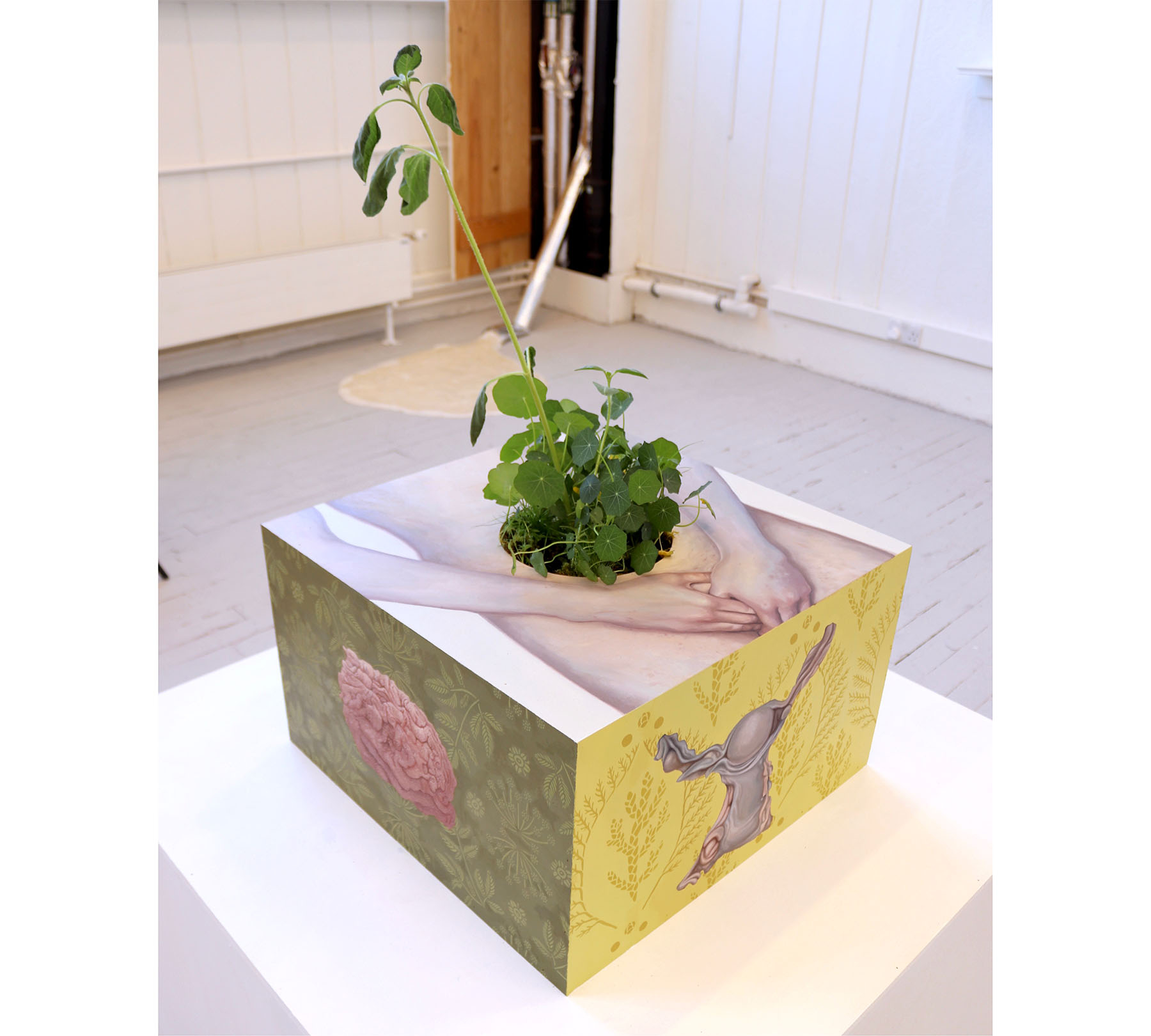 A painted box-like artwork with plants growing out of it. 