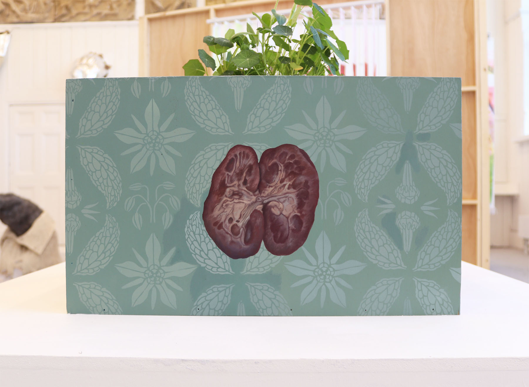 A side of a box-like artwork with plants growing out of it; a dissected kidney painted against turquoise background that has patterns of borage plant like a wallpaper. 