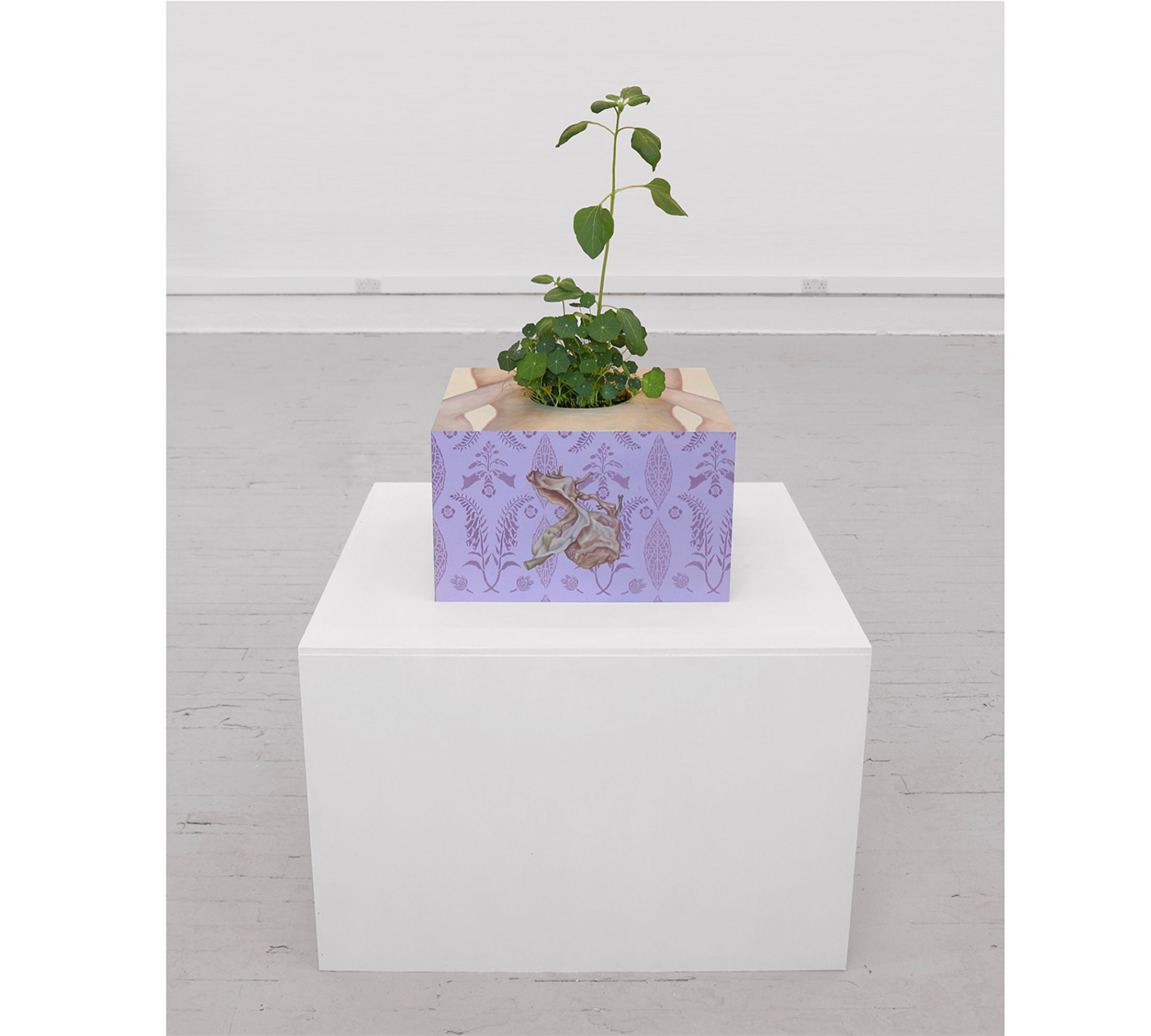 A painted box-like artwork on a plinth with plants growing out of it.
