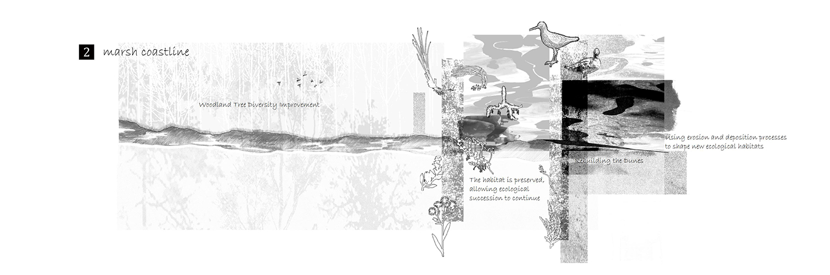 Interweaving Ecology and Phenomenology