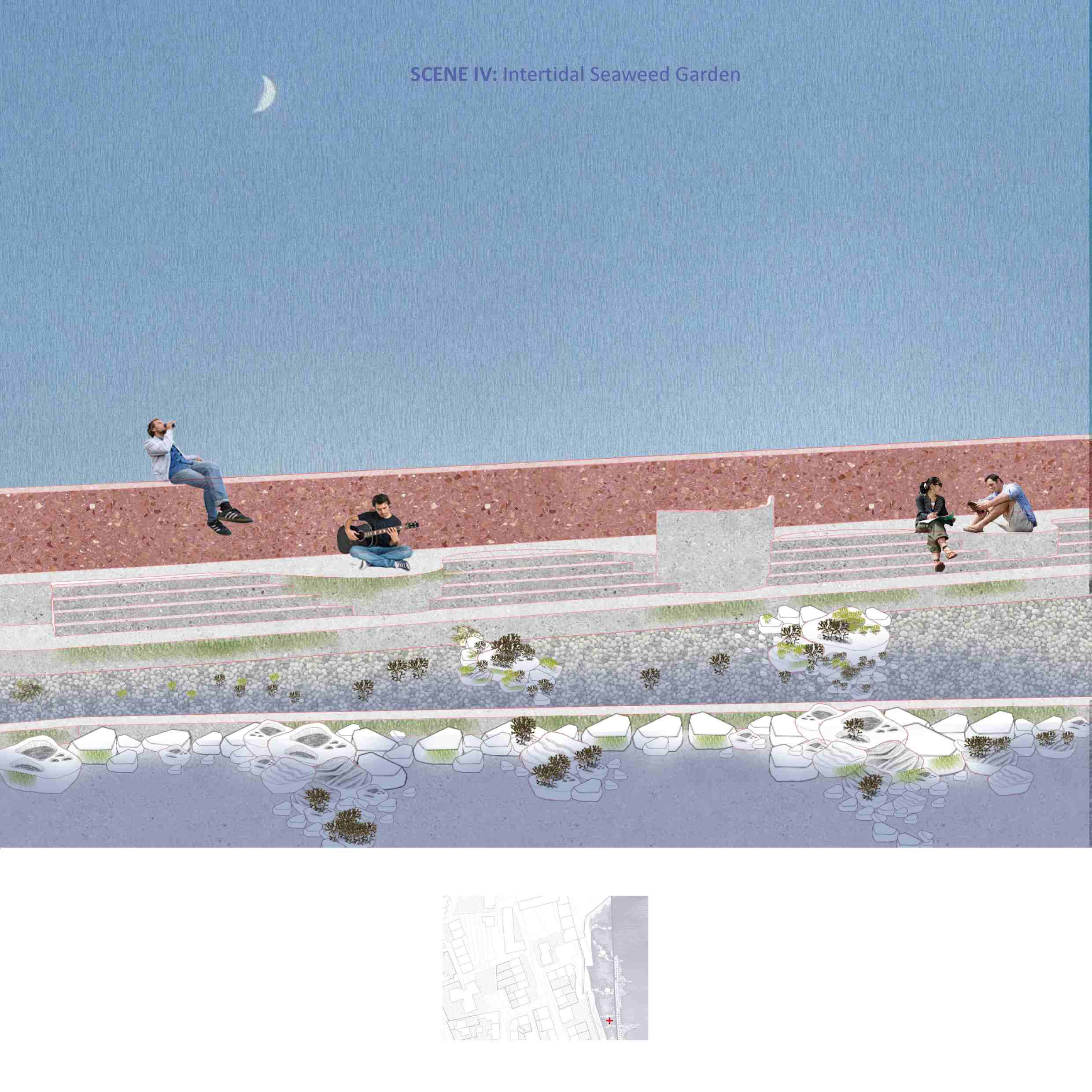 Scene IV: Intertidal Seaweed Garden