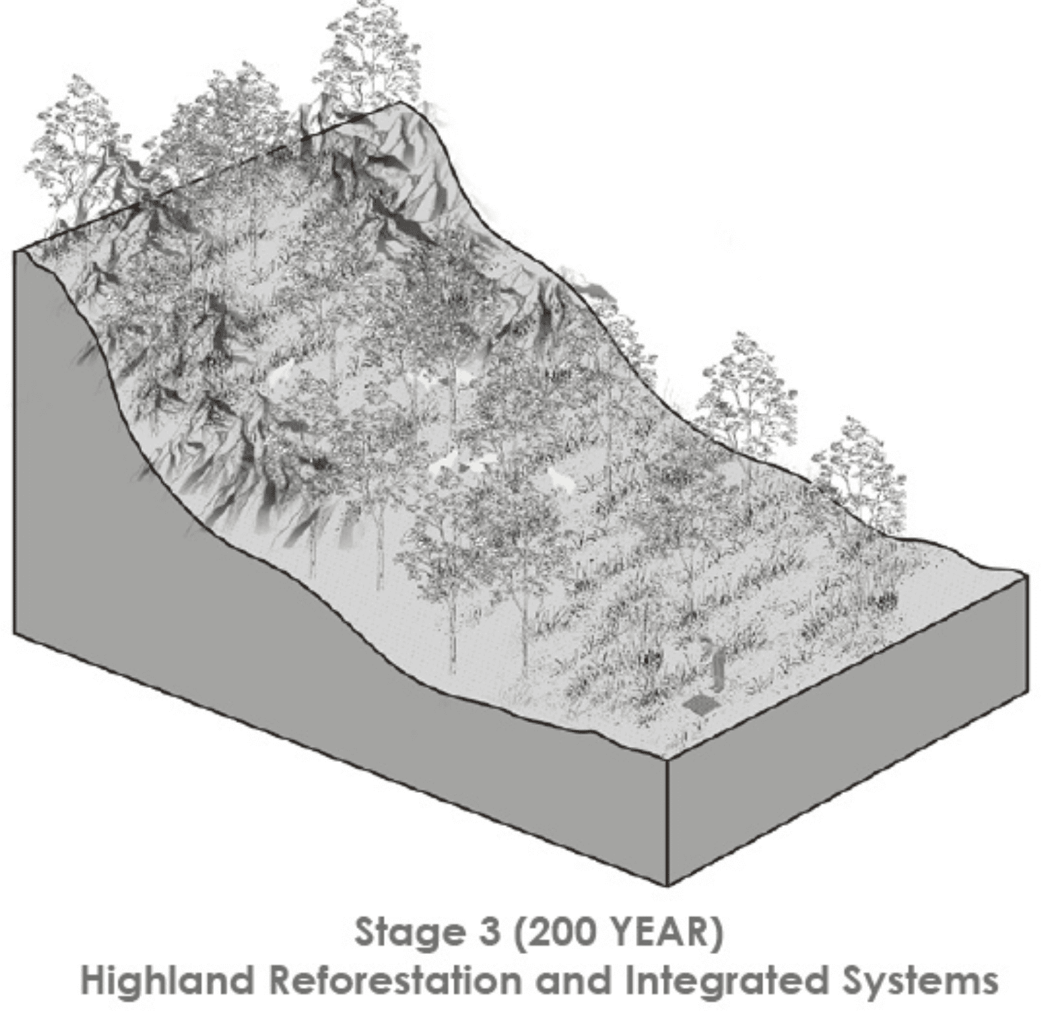 Stage 3 (200 YEAR) Highland Reforestation and Integrated Systems