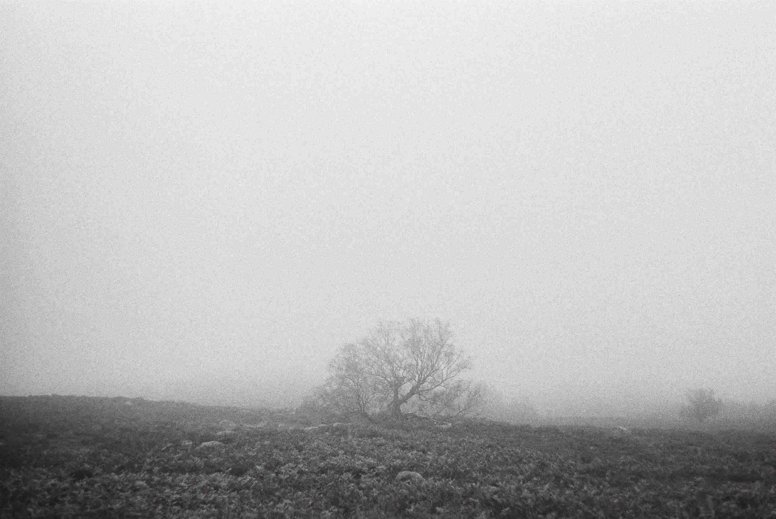 35mm film photograph