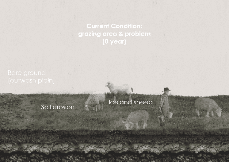 Current Condition:  grazing area & problem (0 year)
