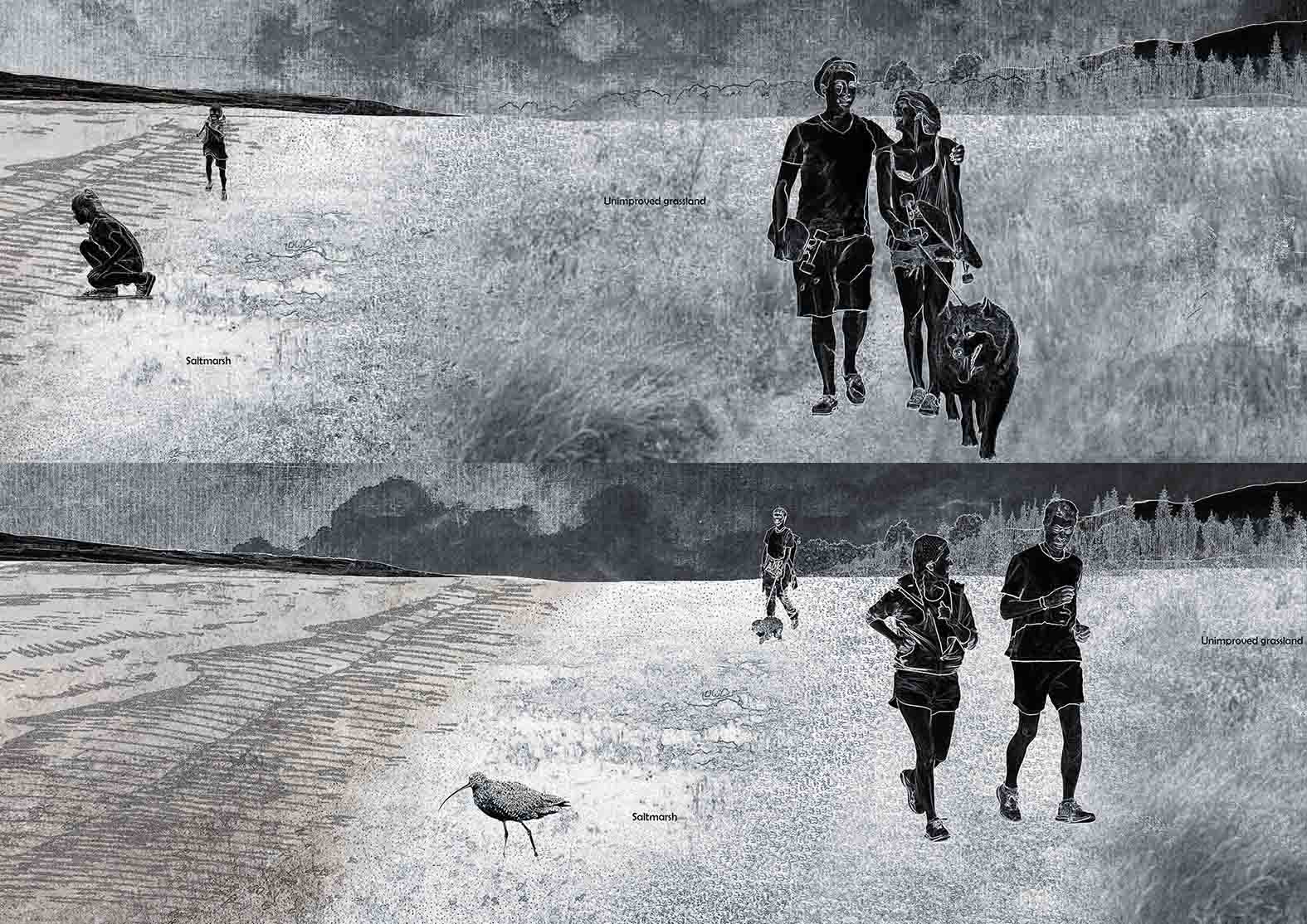 The Coastal Paths under the Coastal Process