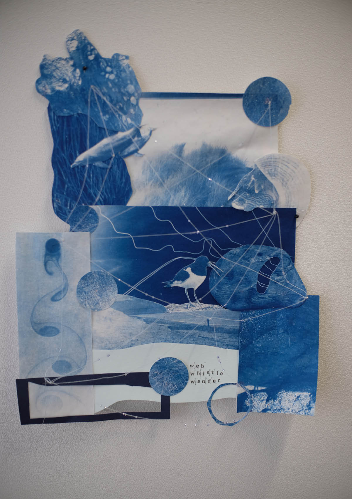 Collage of Nigg Beach