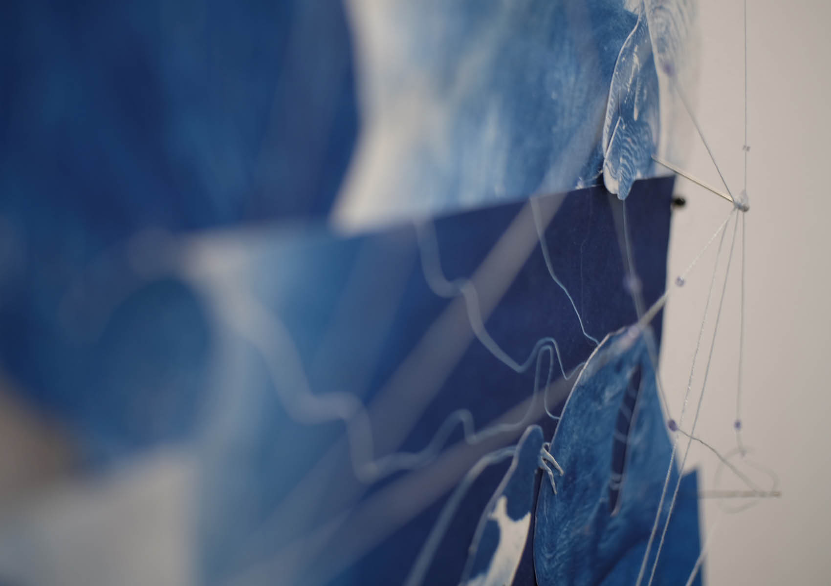 Detail of Nigg Beach