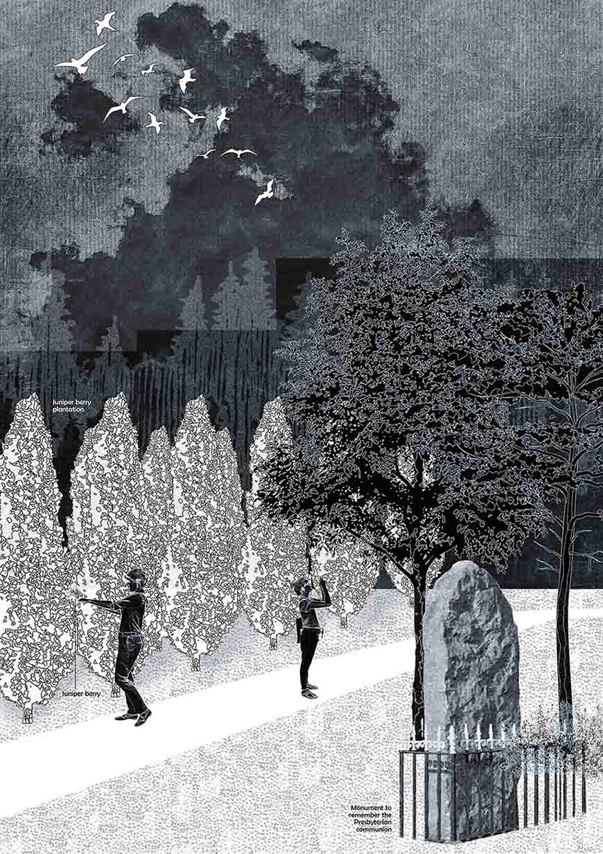 The Juniper Plantation