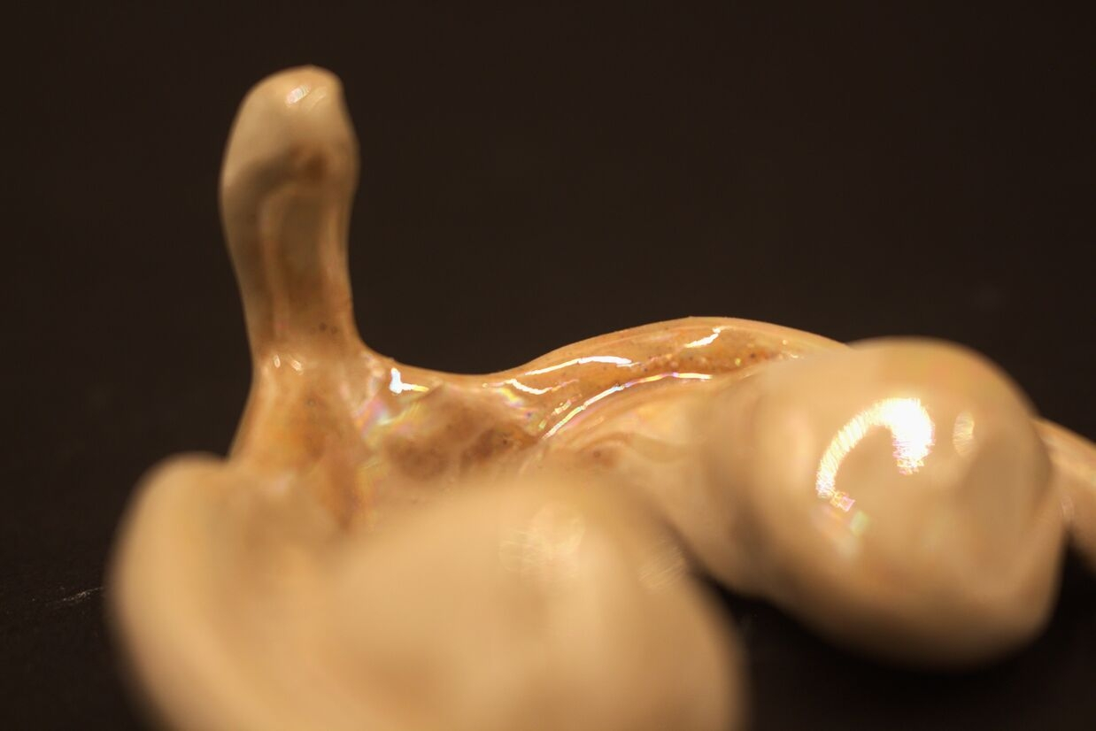 Closeup of an anatomically sized clitoris sculpture