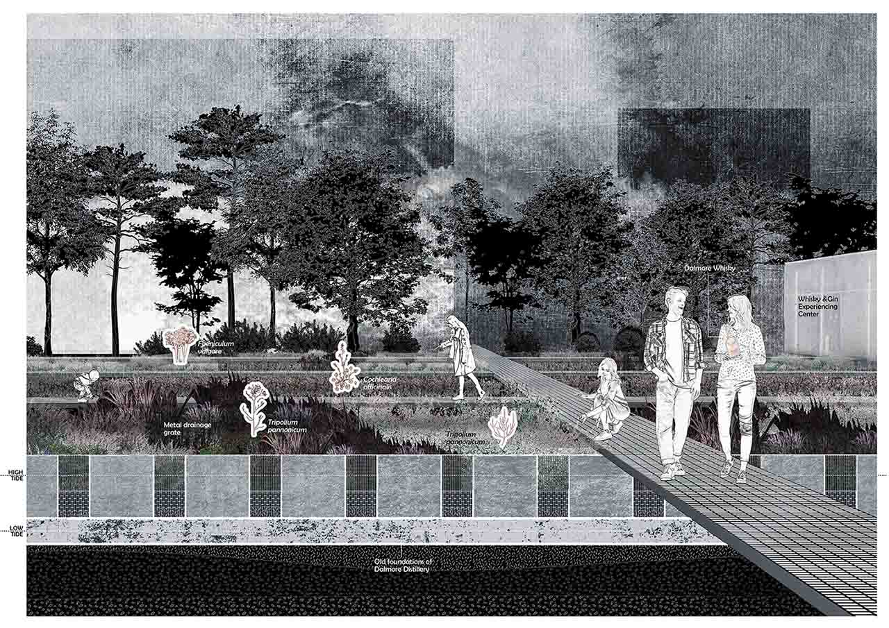 The Halophytes Planting Pond