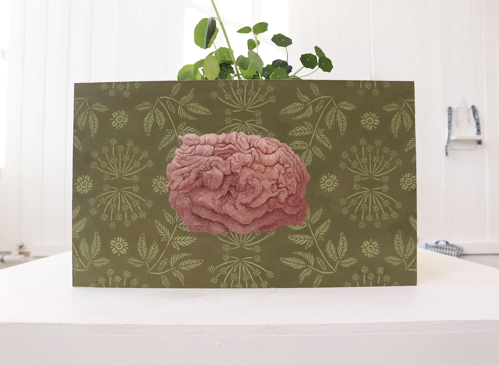 A side of a box-like artwork with plants growing out of it; a dissected stomach painted against green background that has patterns of Angelica like a wallpaper. 