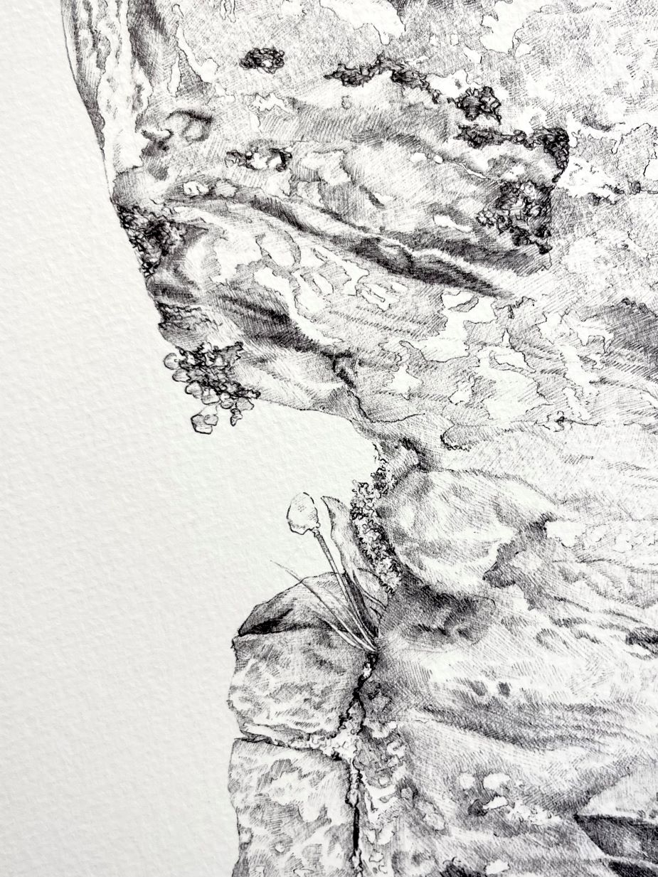Detail photo of a ballpoint pen drawing of a rock face.